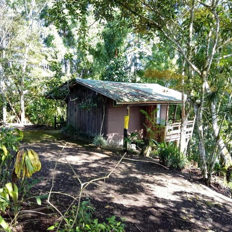 Hotel Pochotel - Image 1