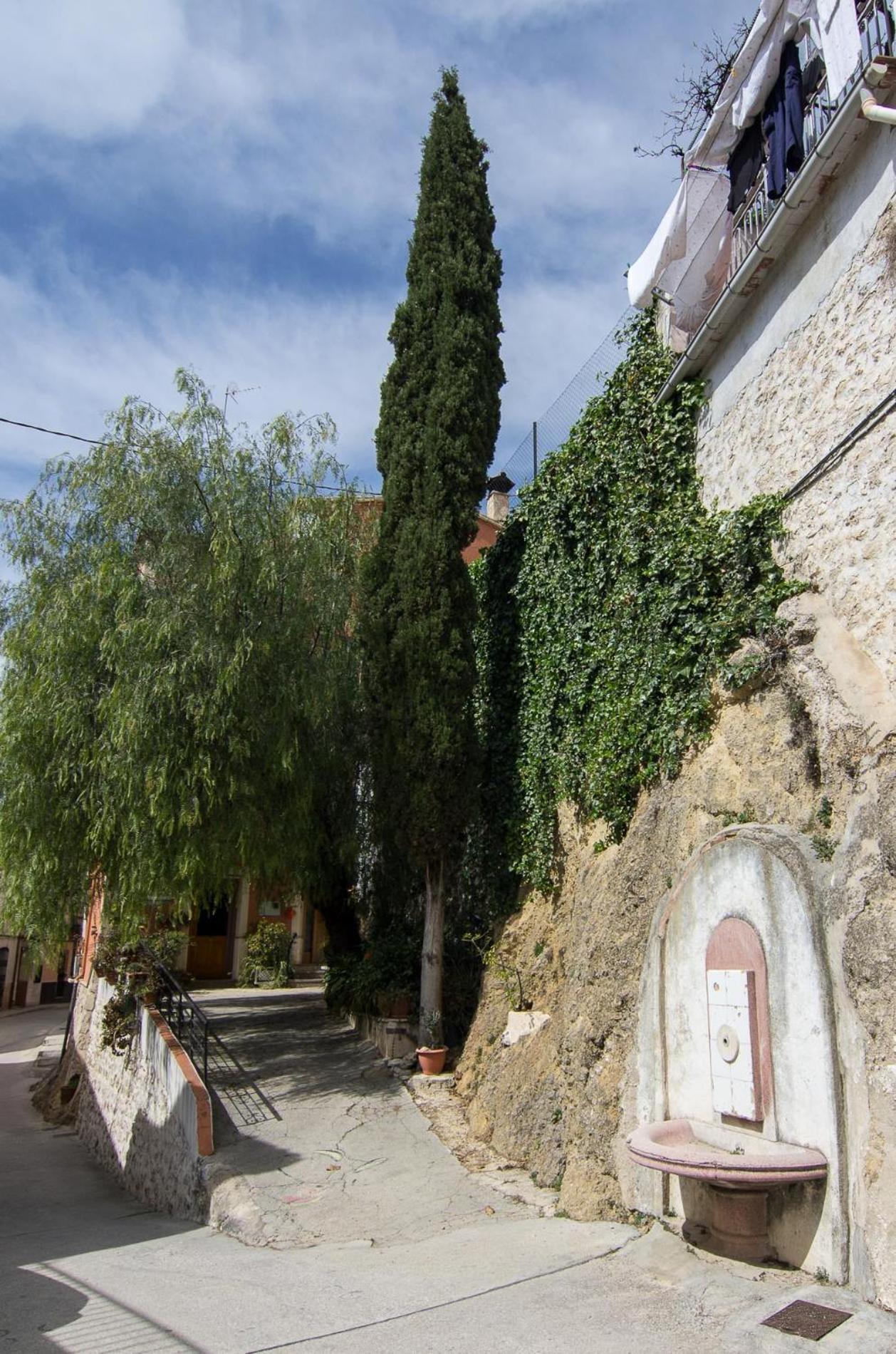 Photo 38