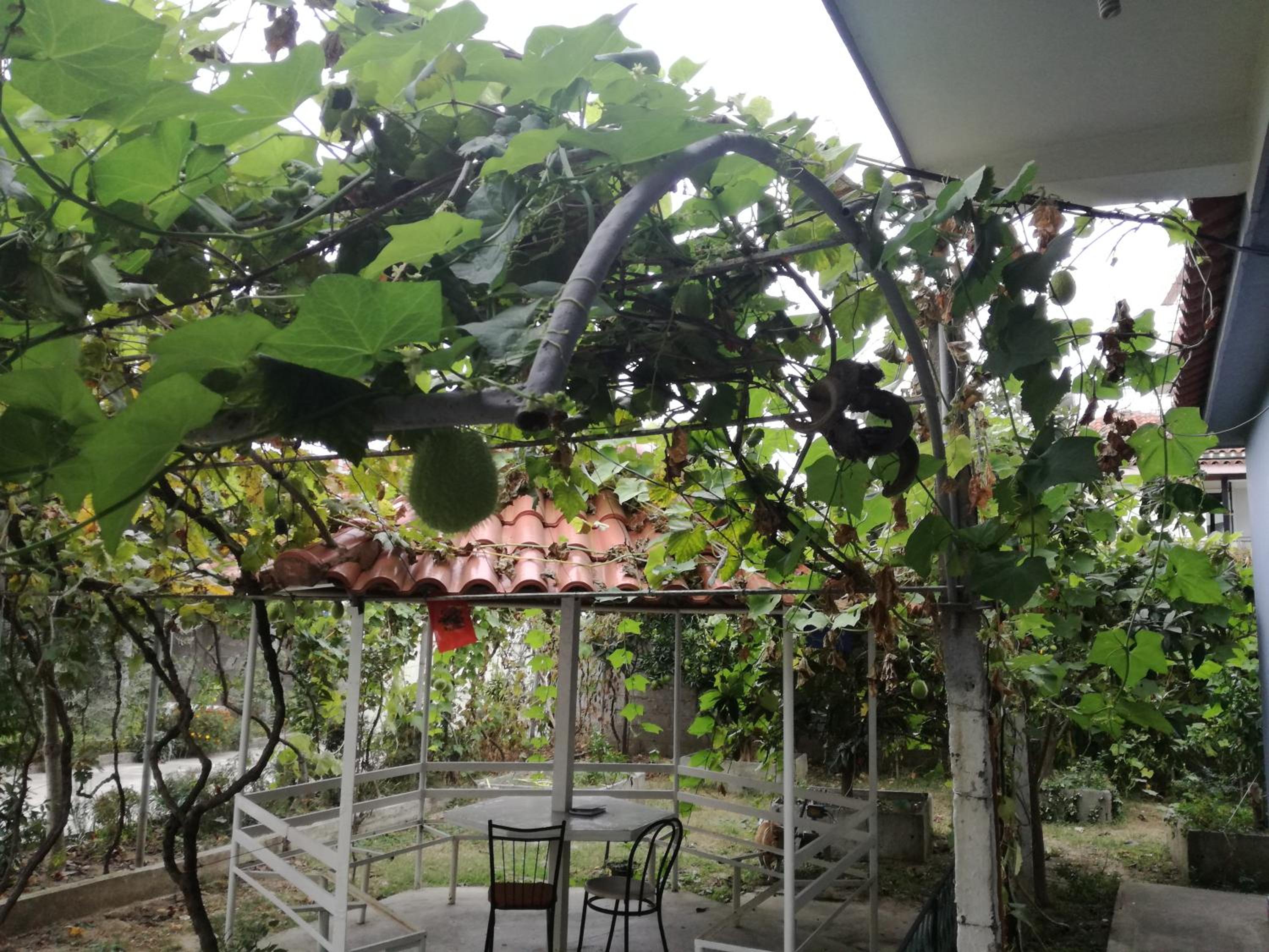 Villa Osmani