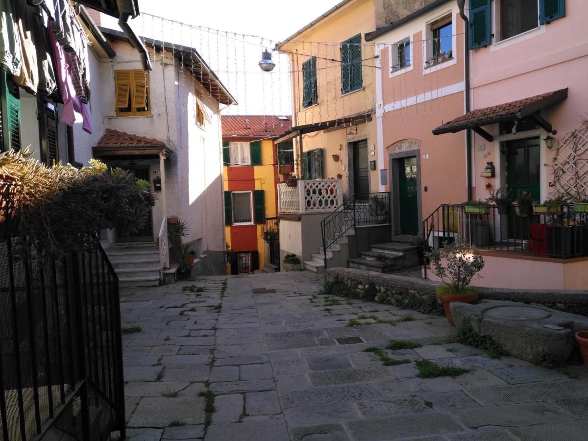 Il Piccolo Lord photo 5