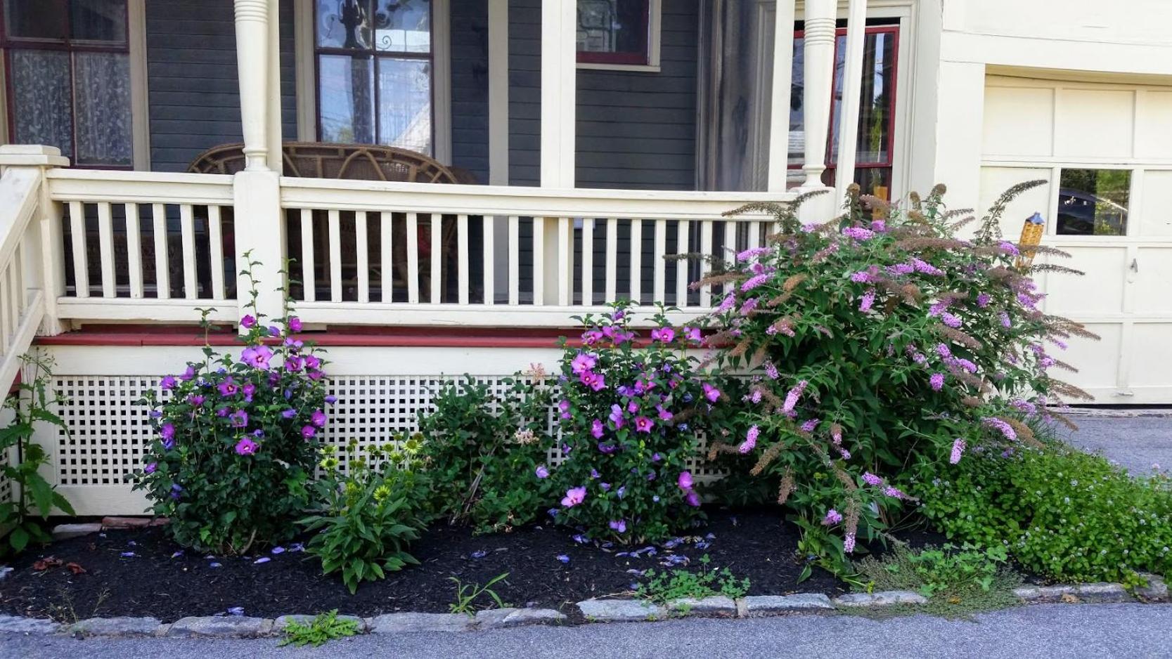 Photo 14