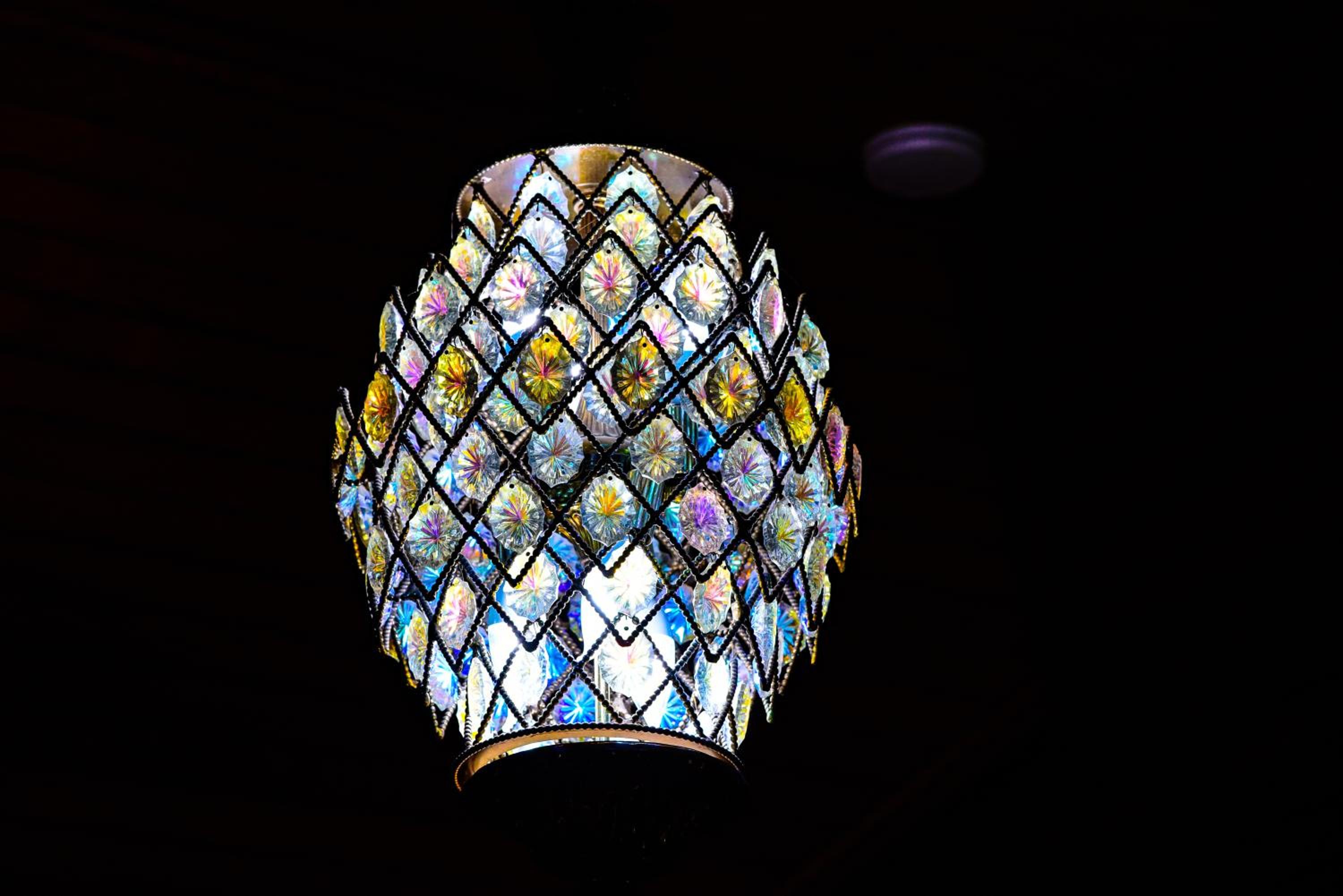 Photo 42