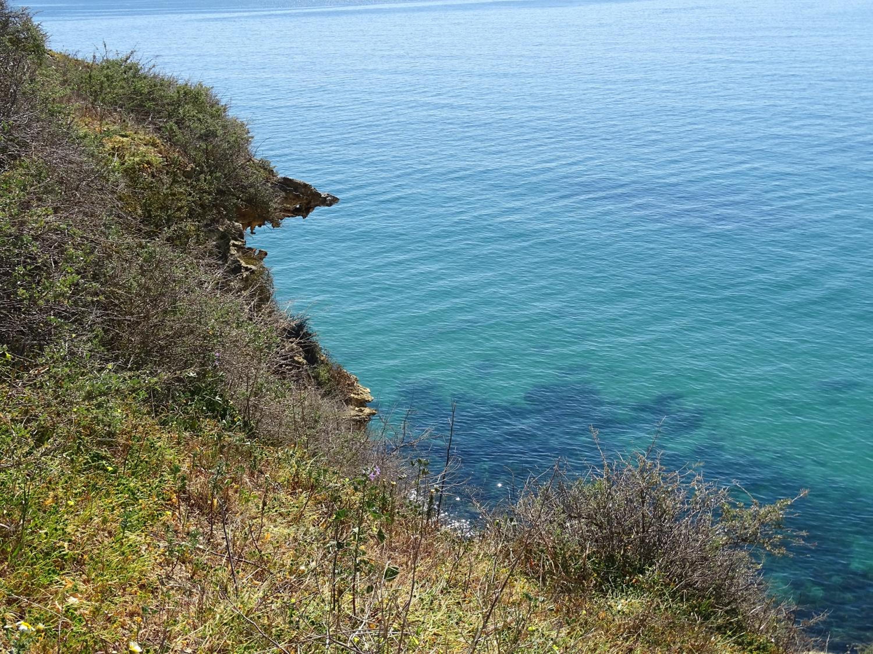 Photo 14