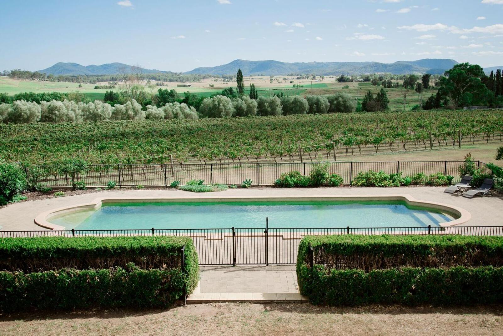Tranquil Vale Vineyard