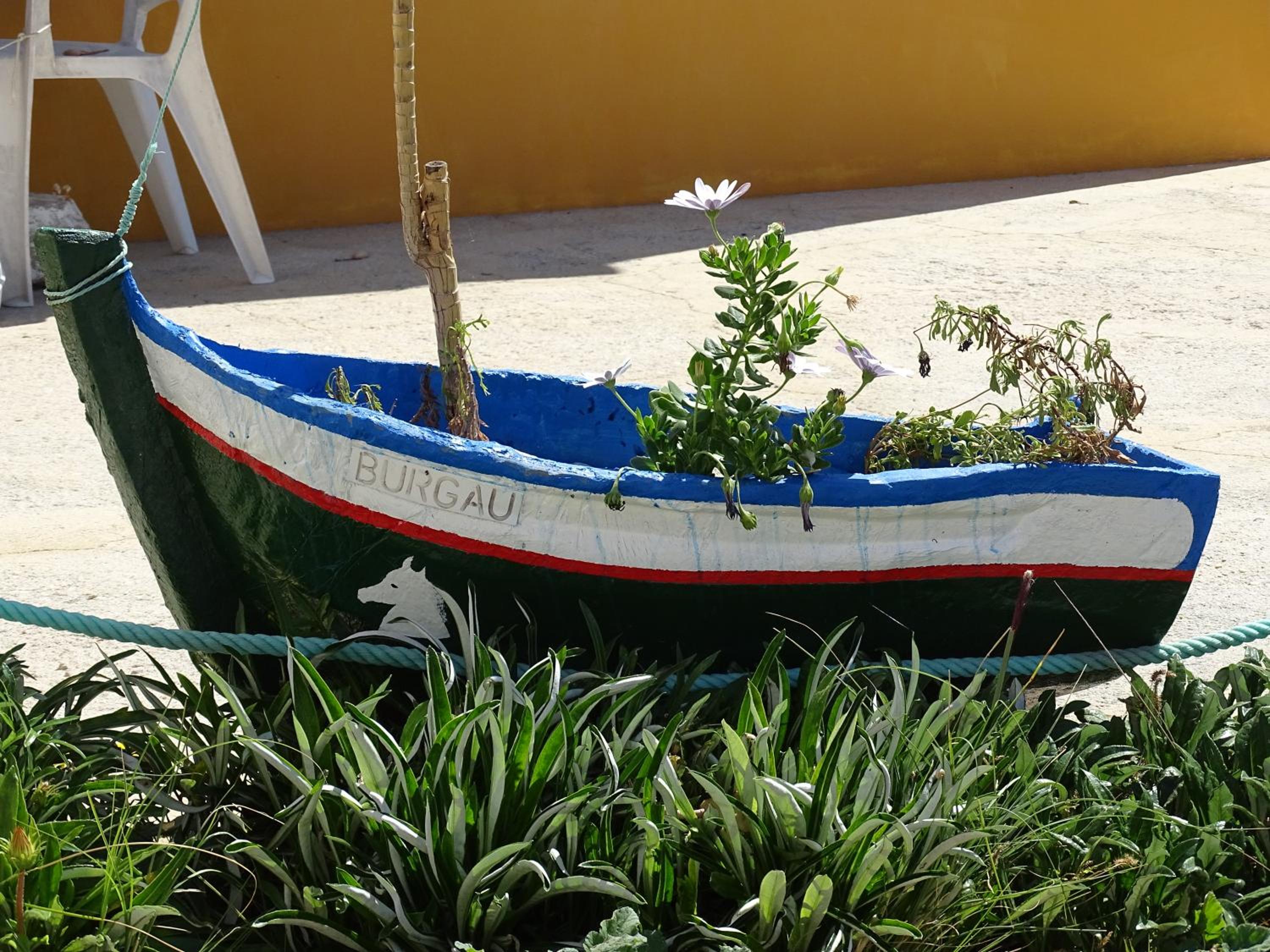 Photo 44