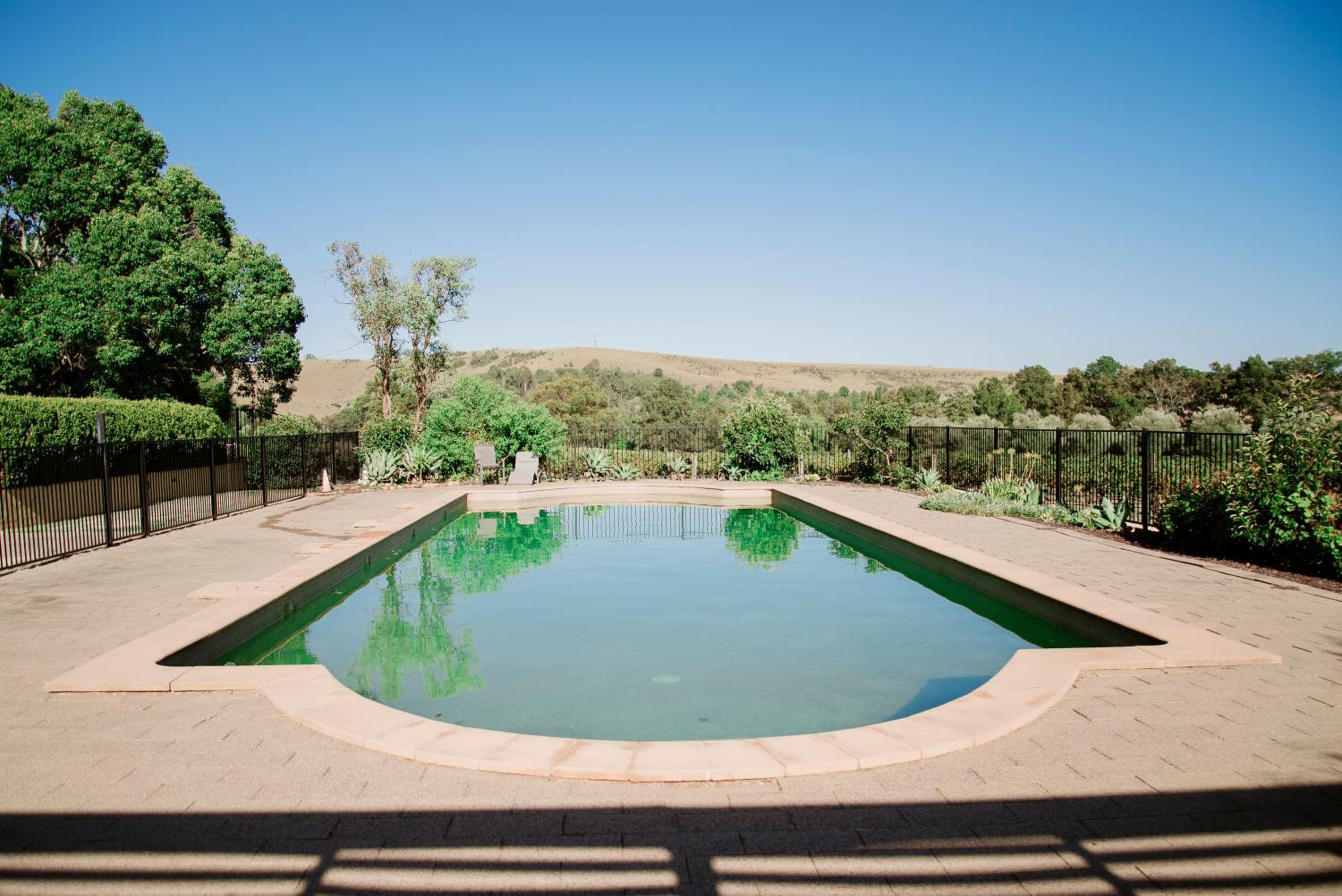 Tranquil Vale Vineyard