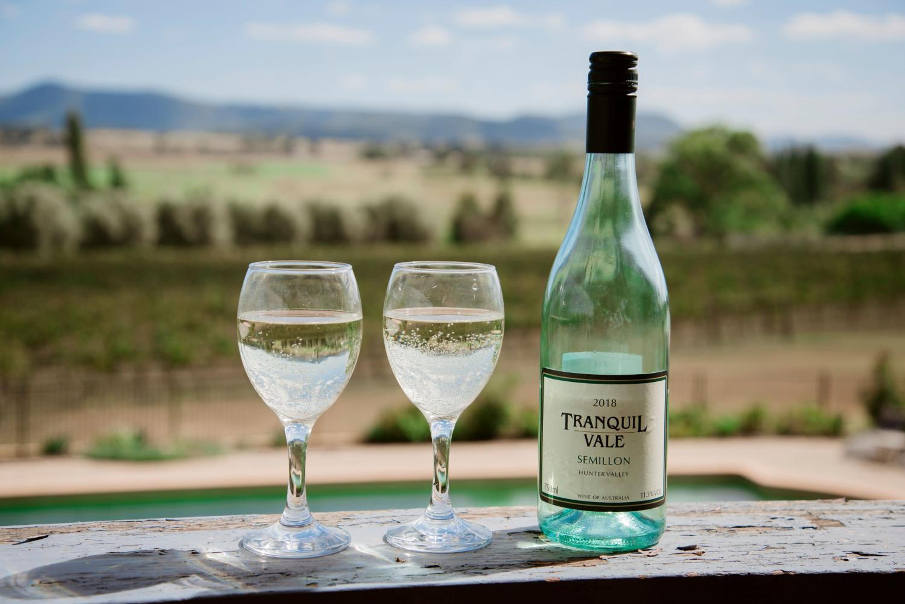 Tranquil Vale Vineyard