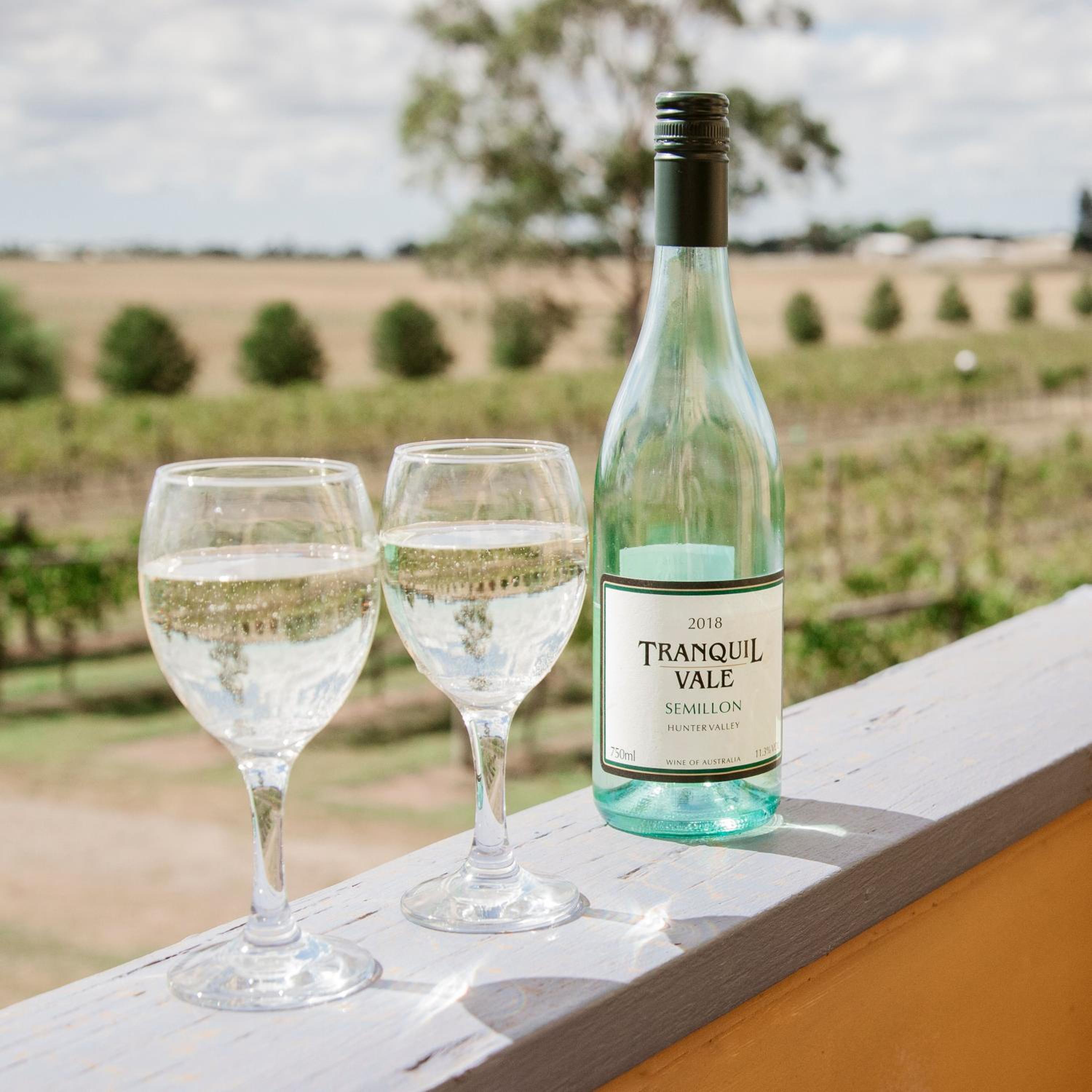 Tranquil Vale Vineyard