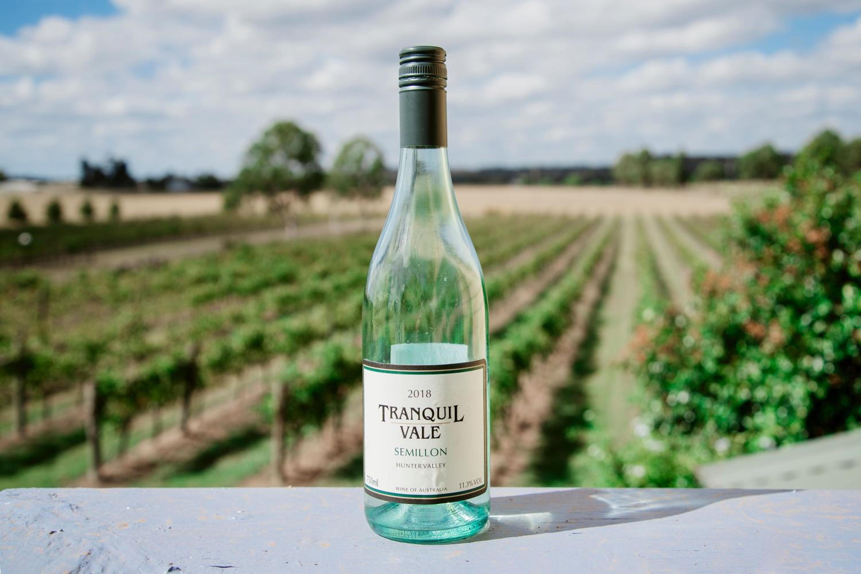 Tranquil Vale Vineyard