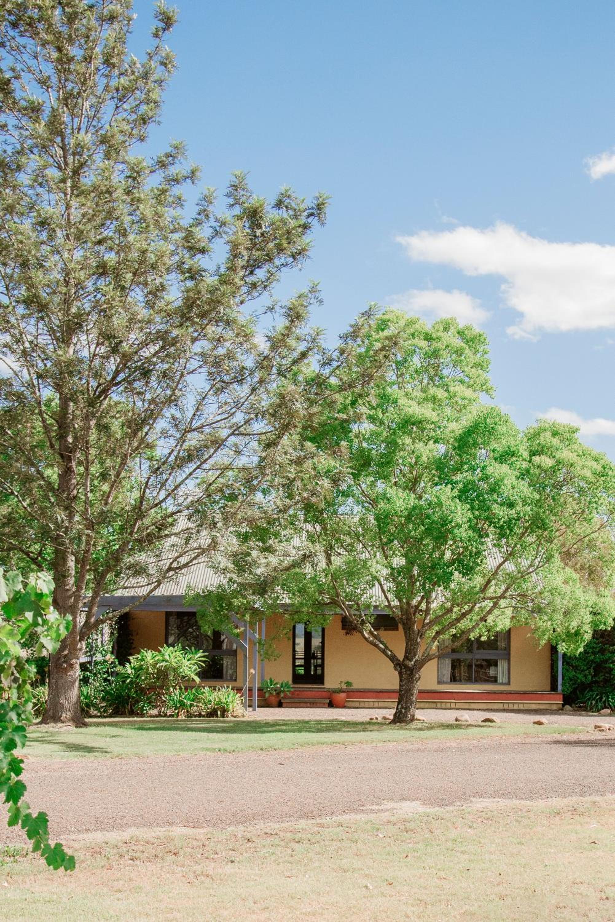 Tranquil Vale Vineyard
