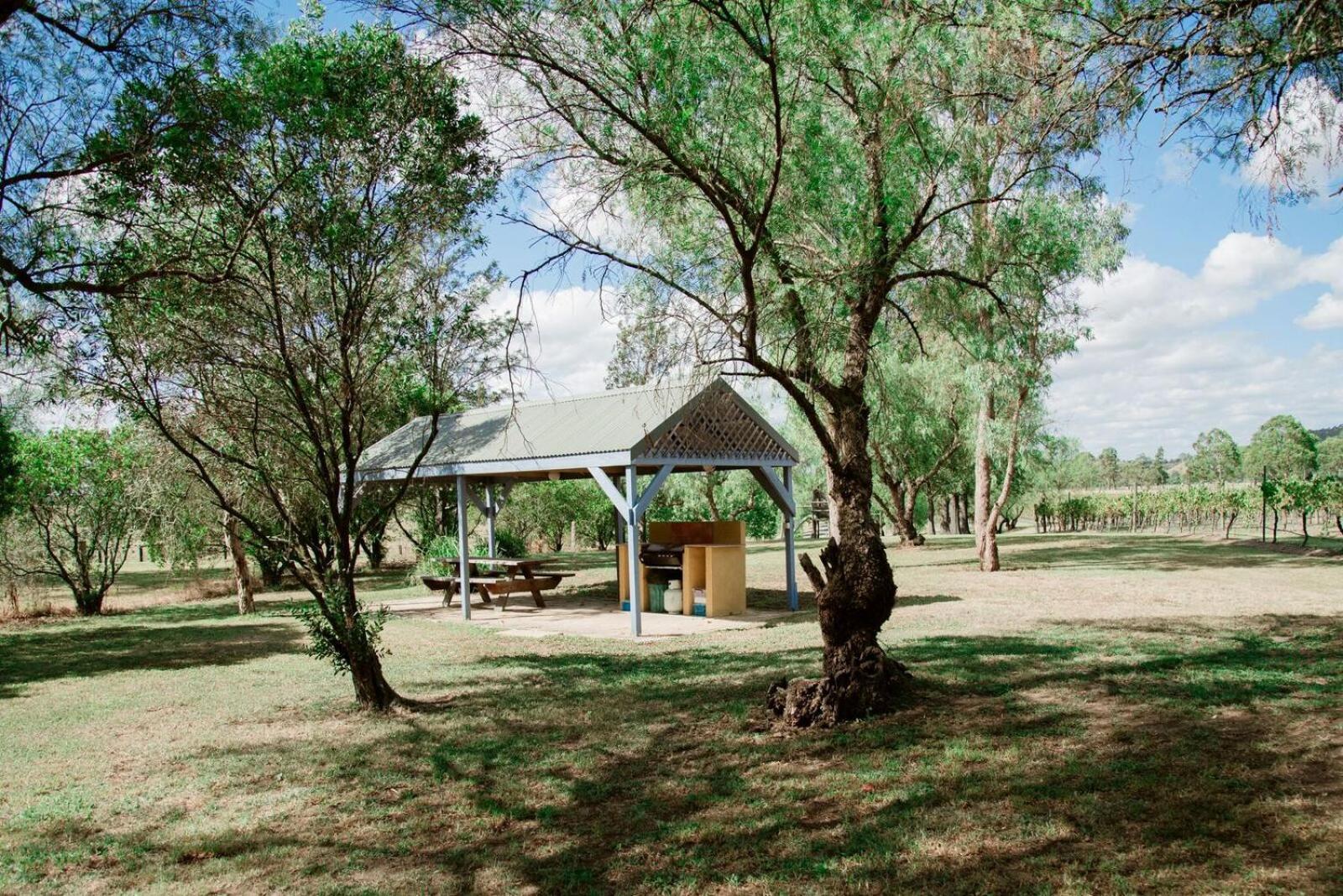 Tranquil Vale Vineyard