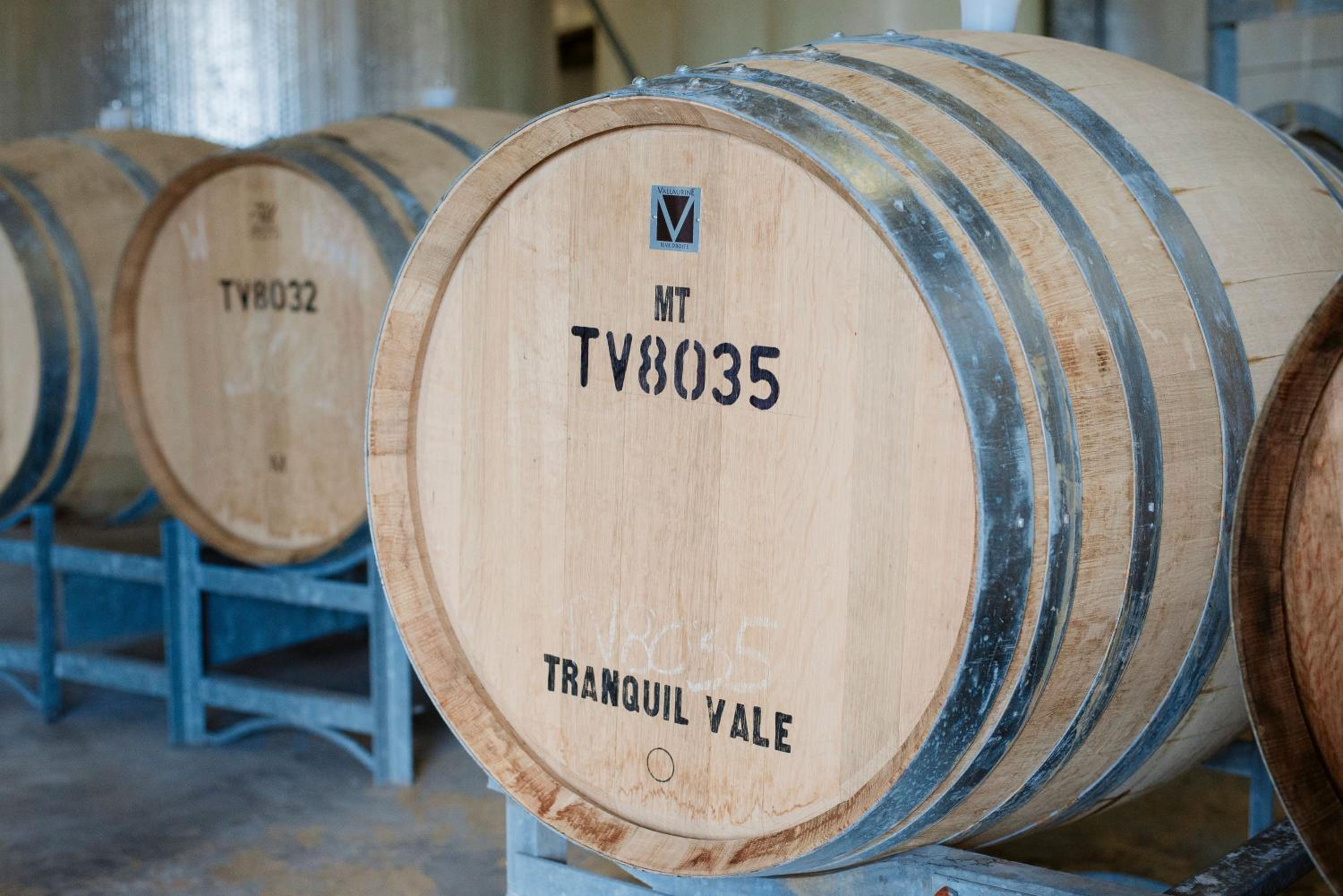 Tranquil Vale Vineyard
