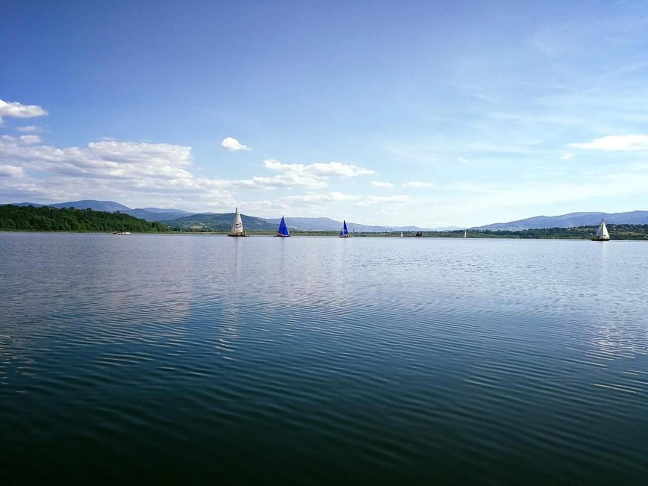 Domki nad jeziorem