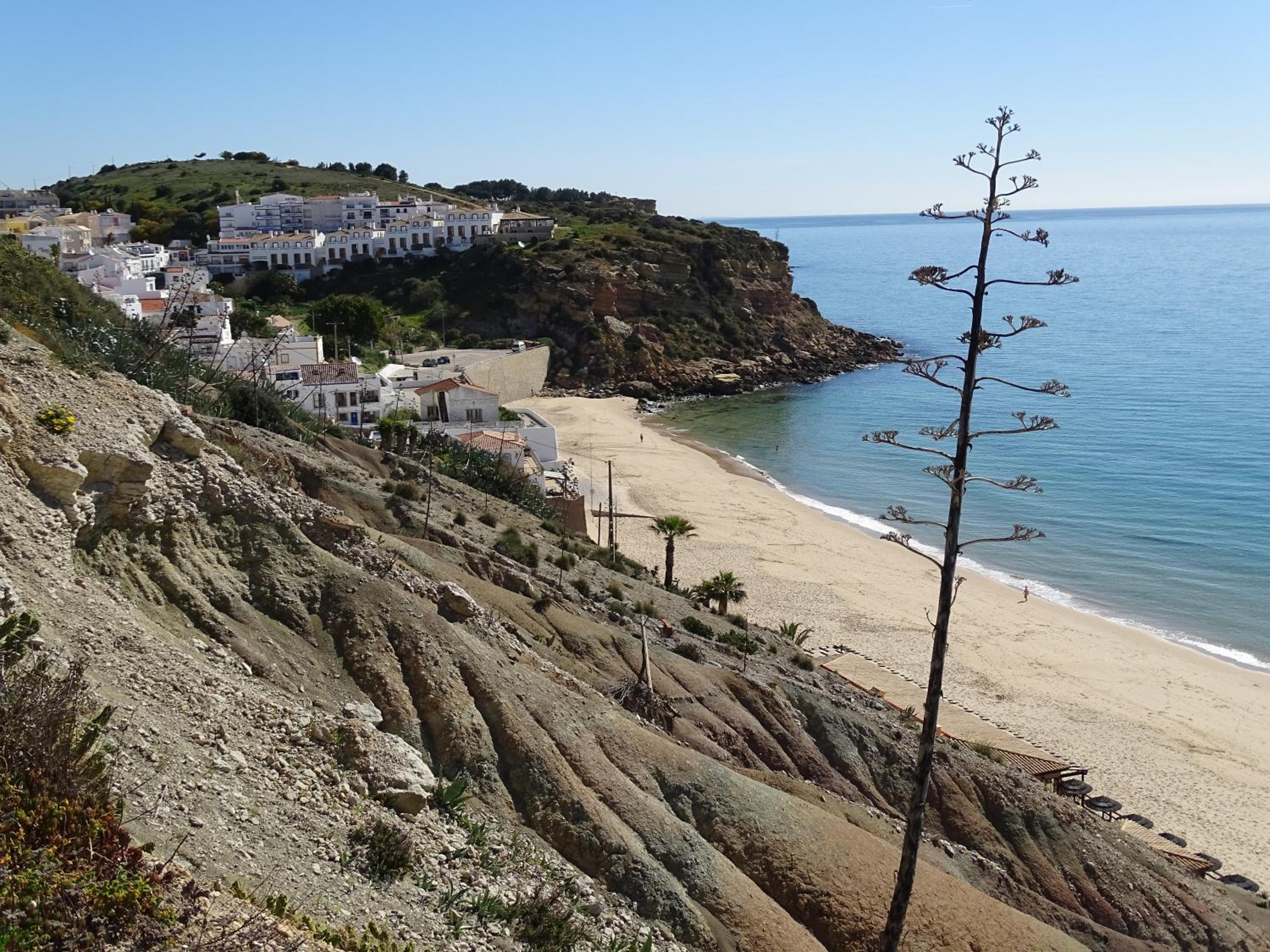 Casa Afonso Henriques view 5