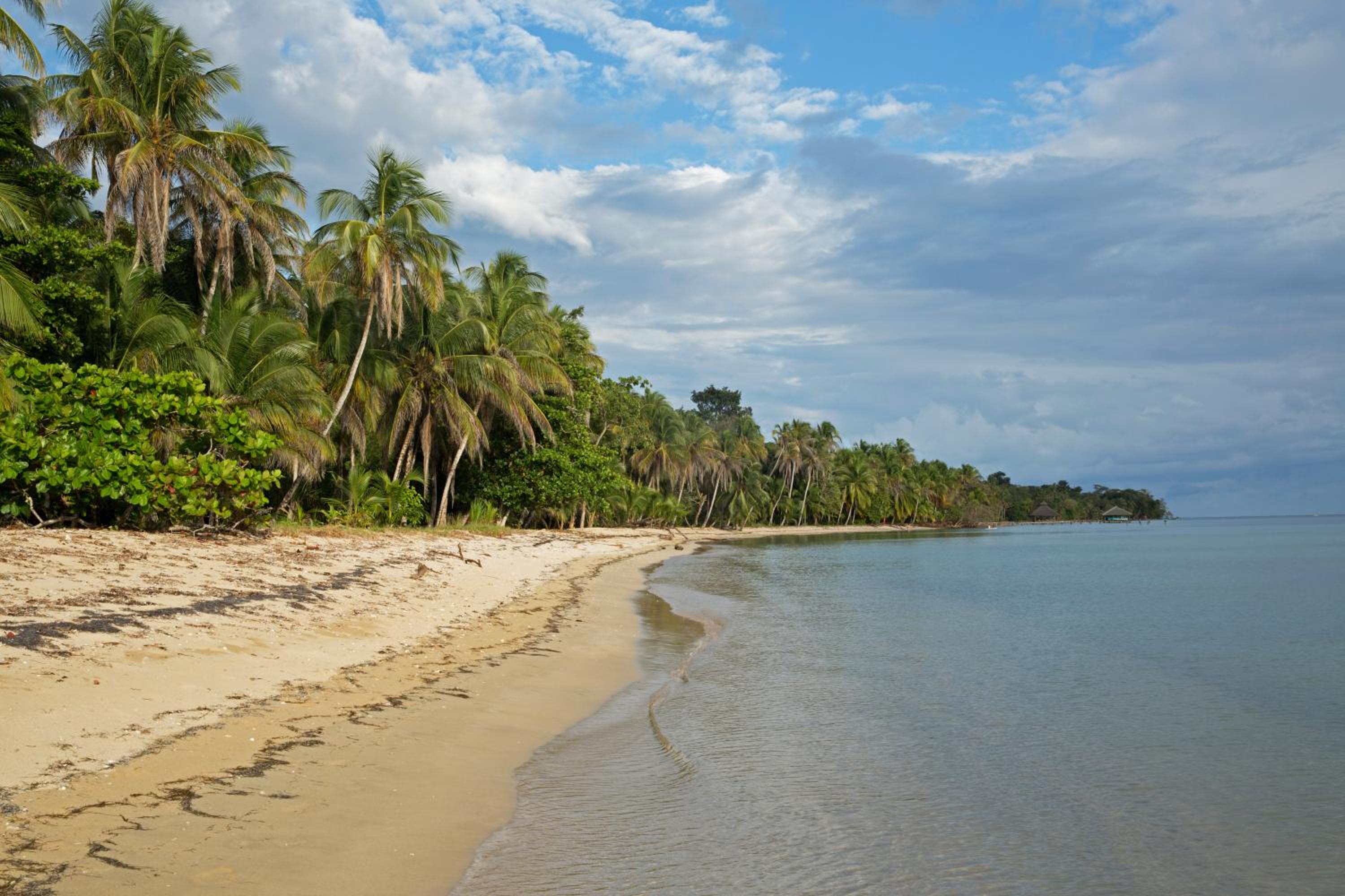 Residencia Natural