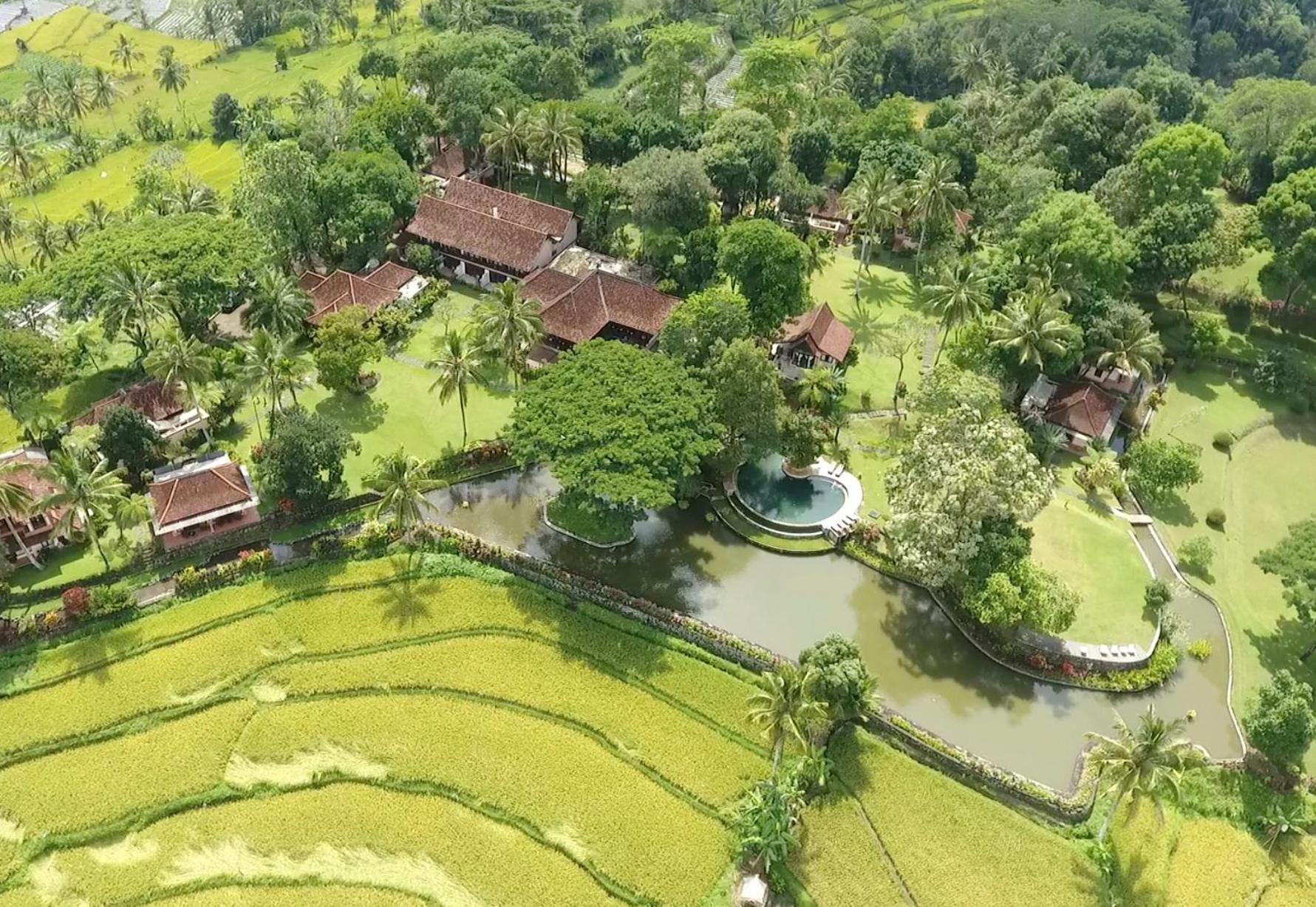 Hotel Ijen Resort and Villas - The Hidden Paradise - Image 1