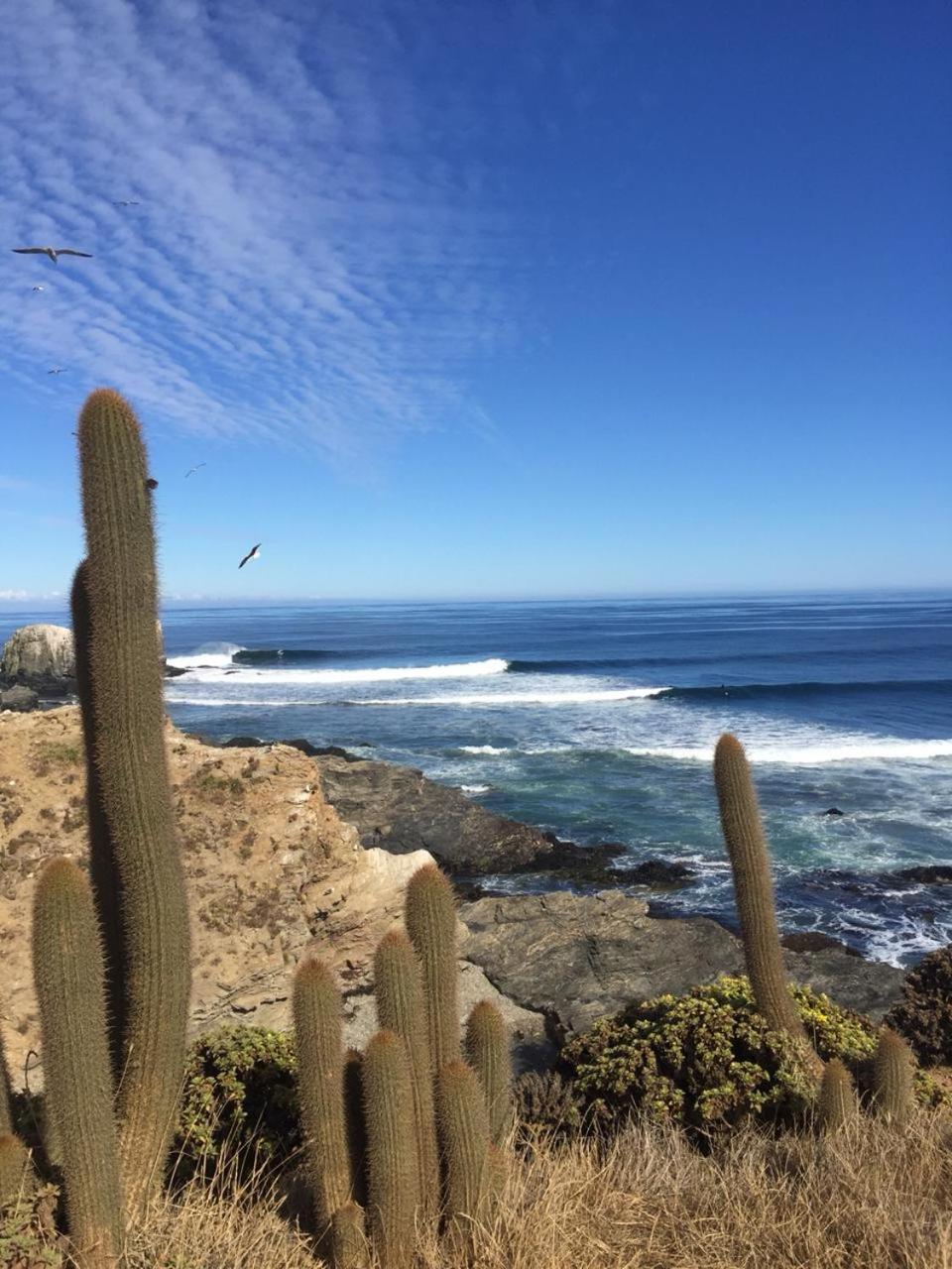 Conviento de Lobos
