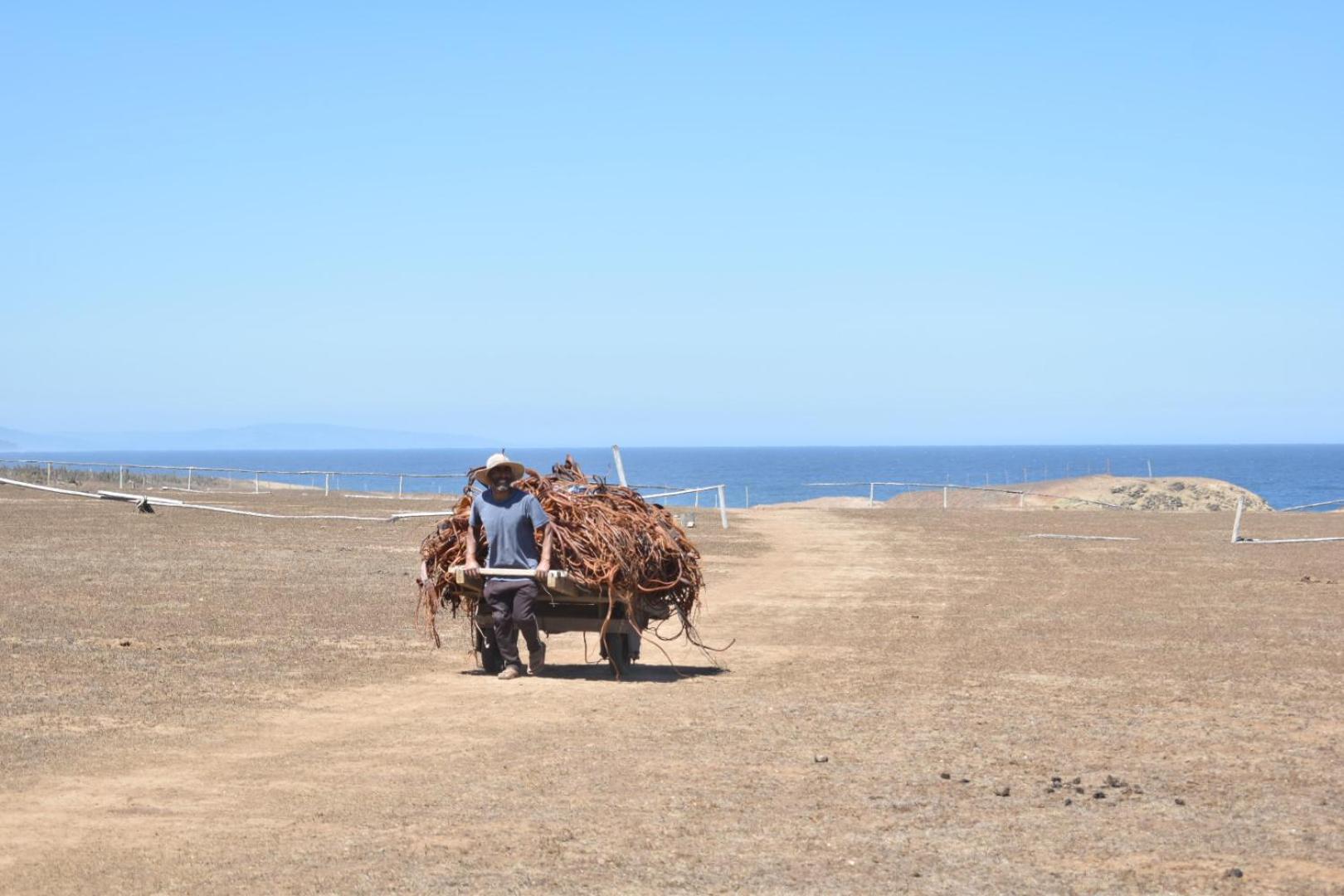Conviento de Lobos