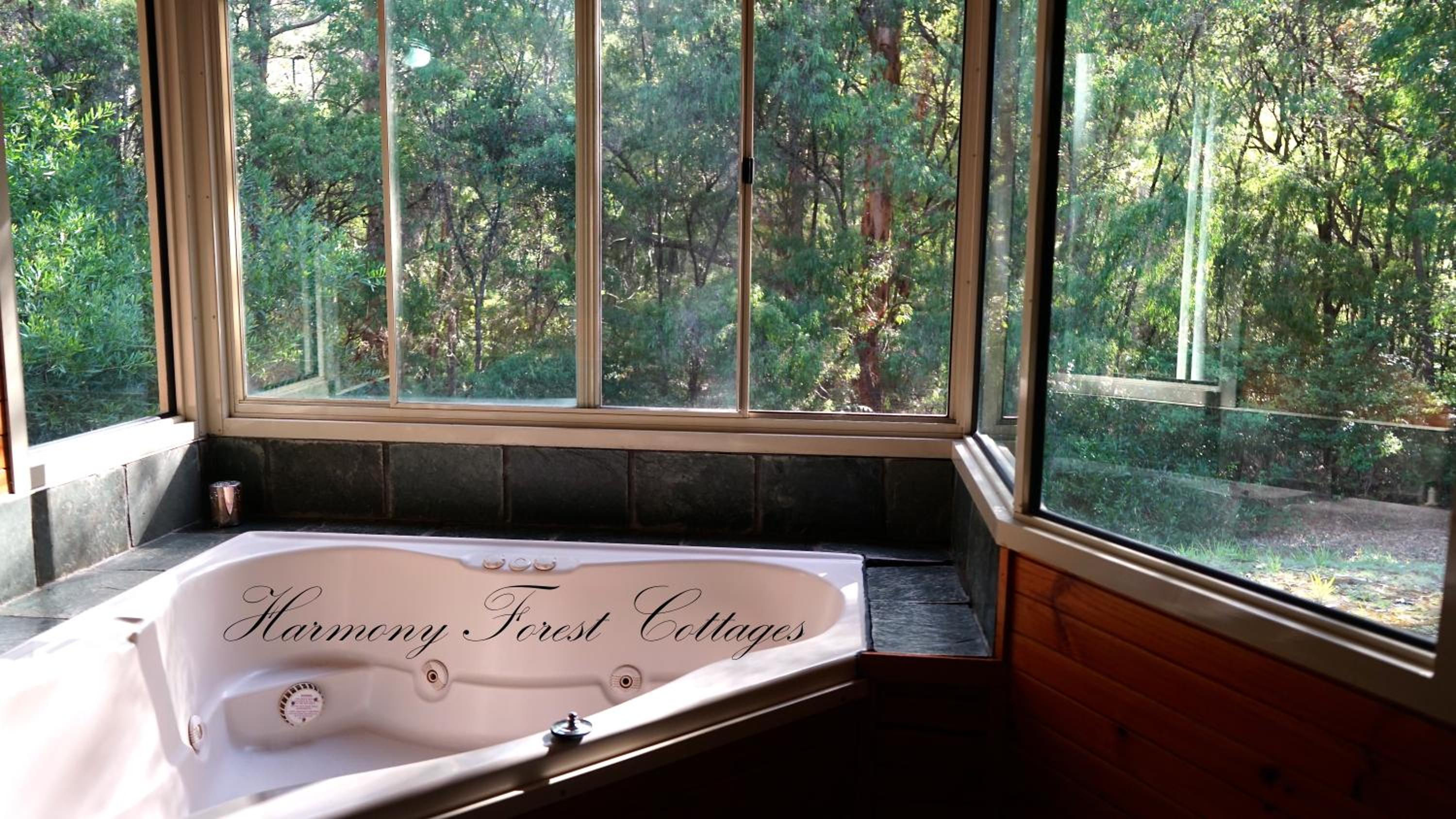 Harmony Forest Cottages & Lake side Lodge
