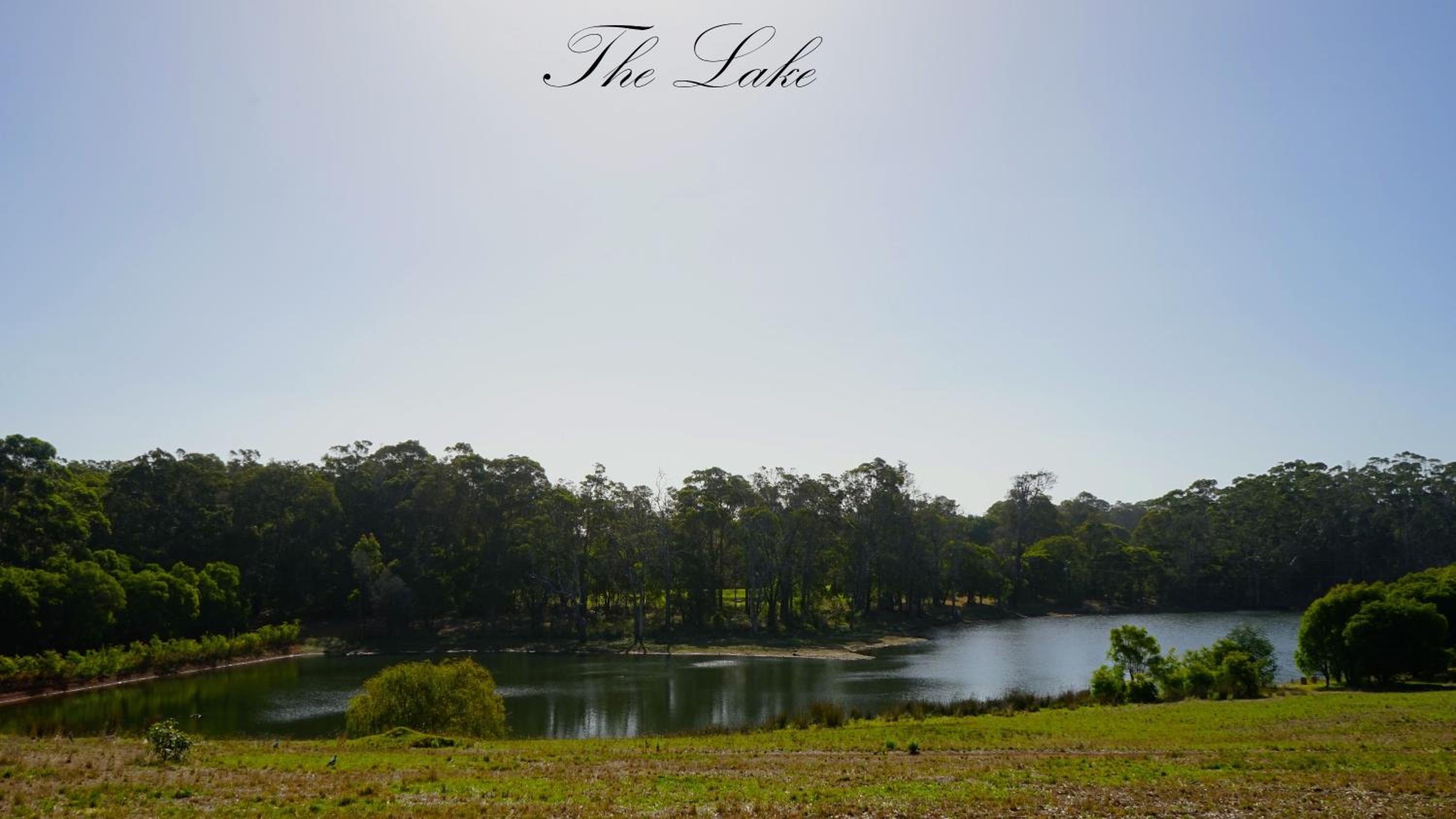 Harmony Forest Cottages & Lake side Lodge