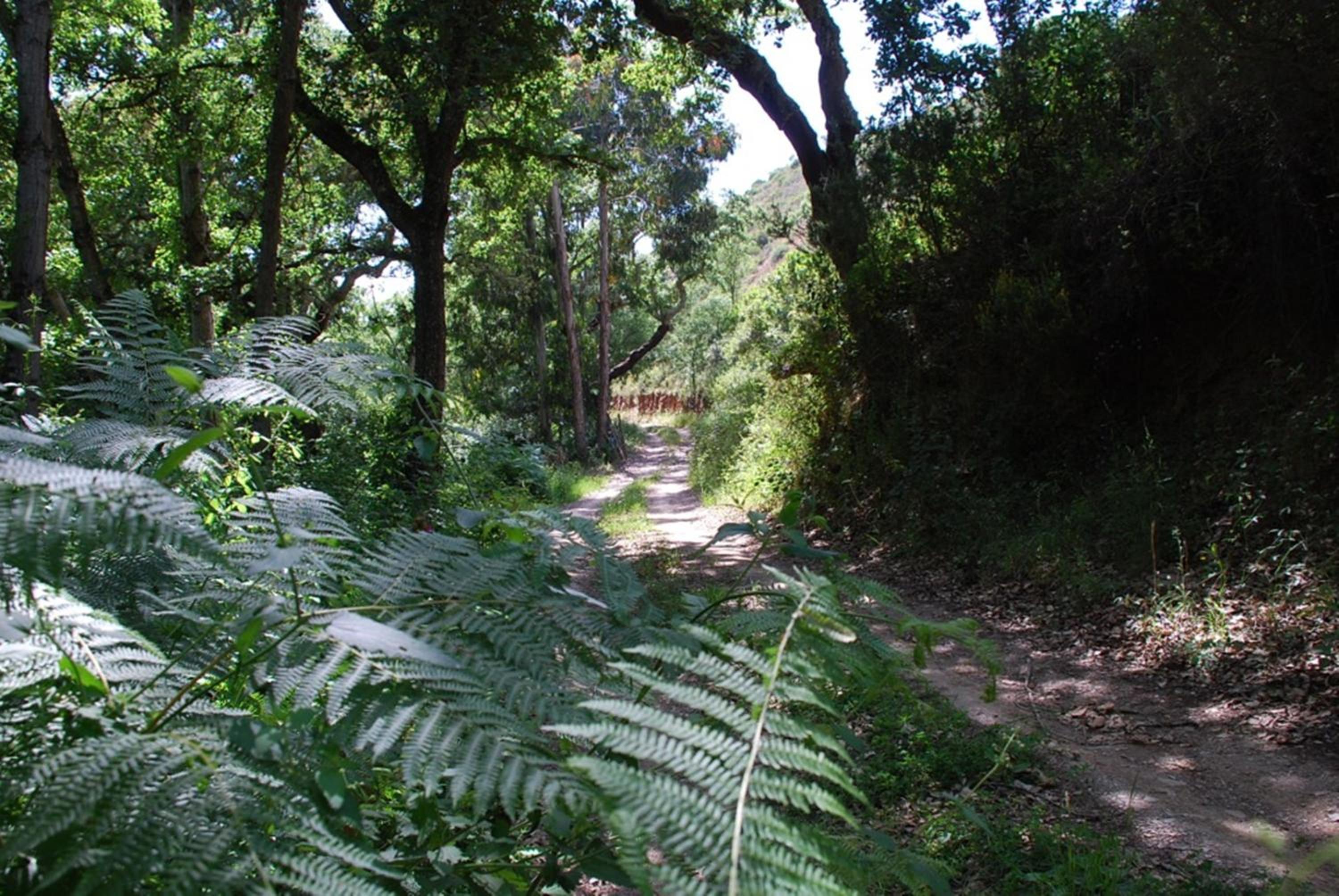 Casas da Cerca