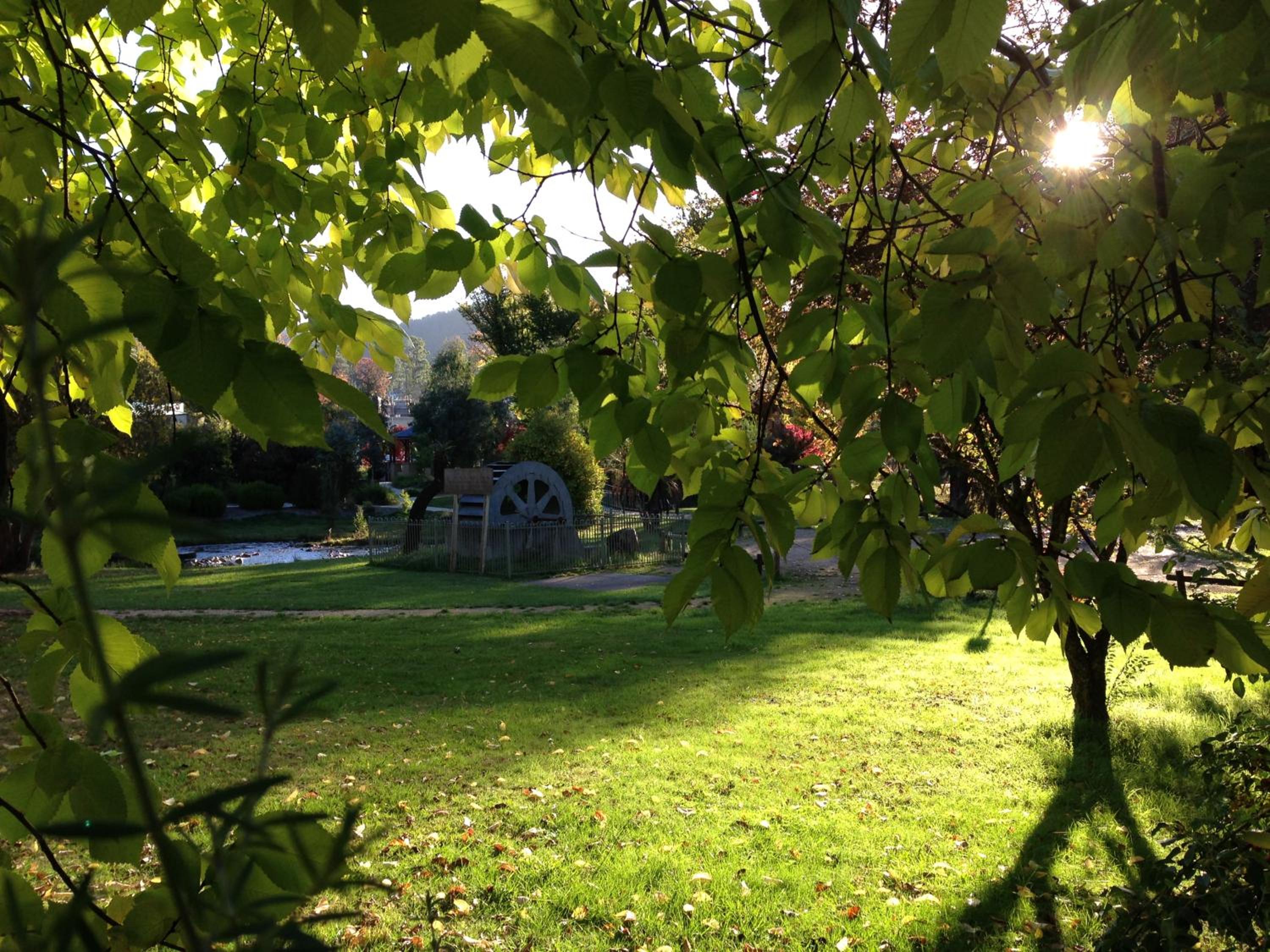 Photo 17