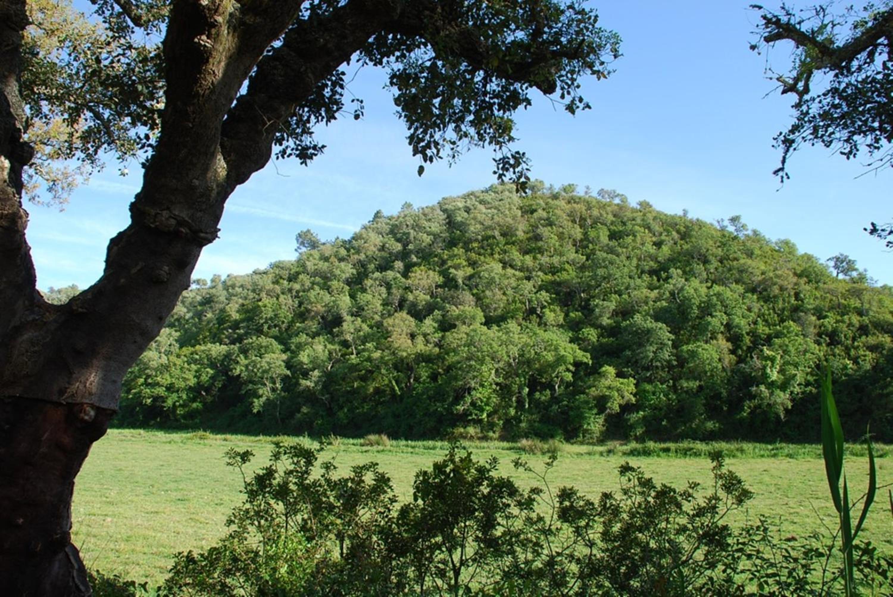 Casas da Cerca