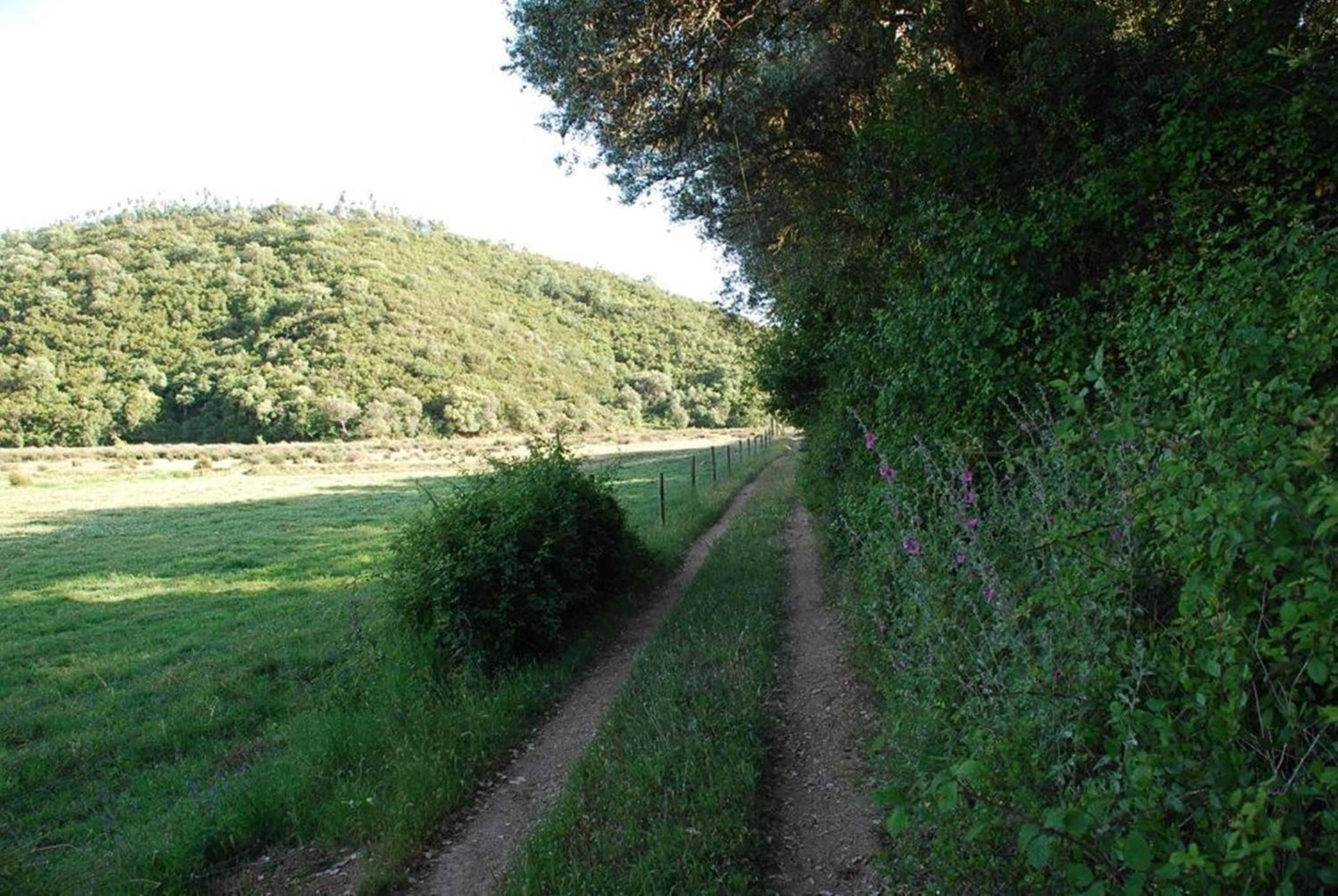 Casas da Cerca