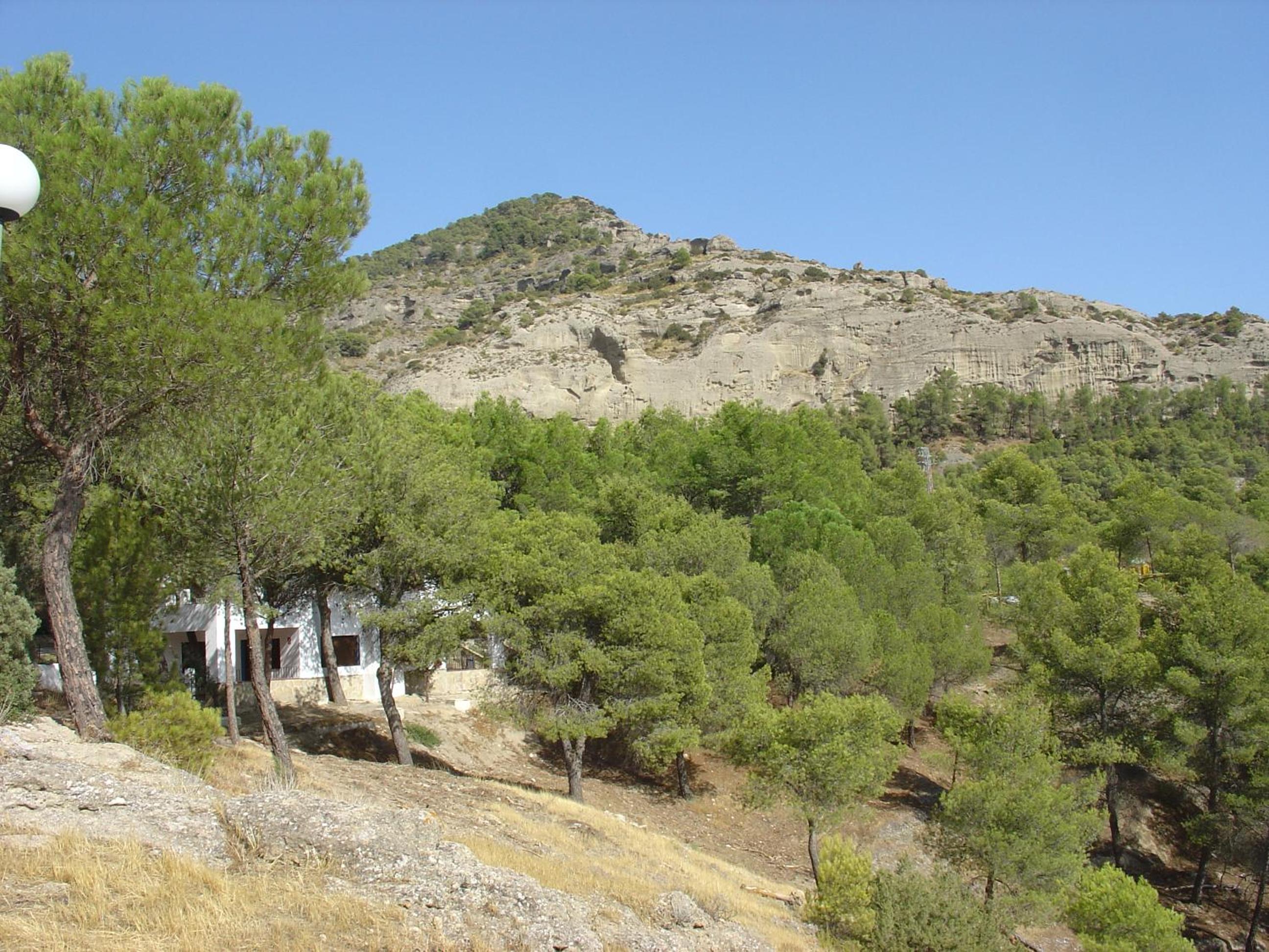 Photo 12