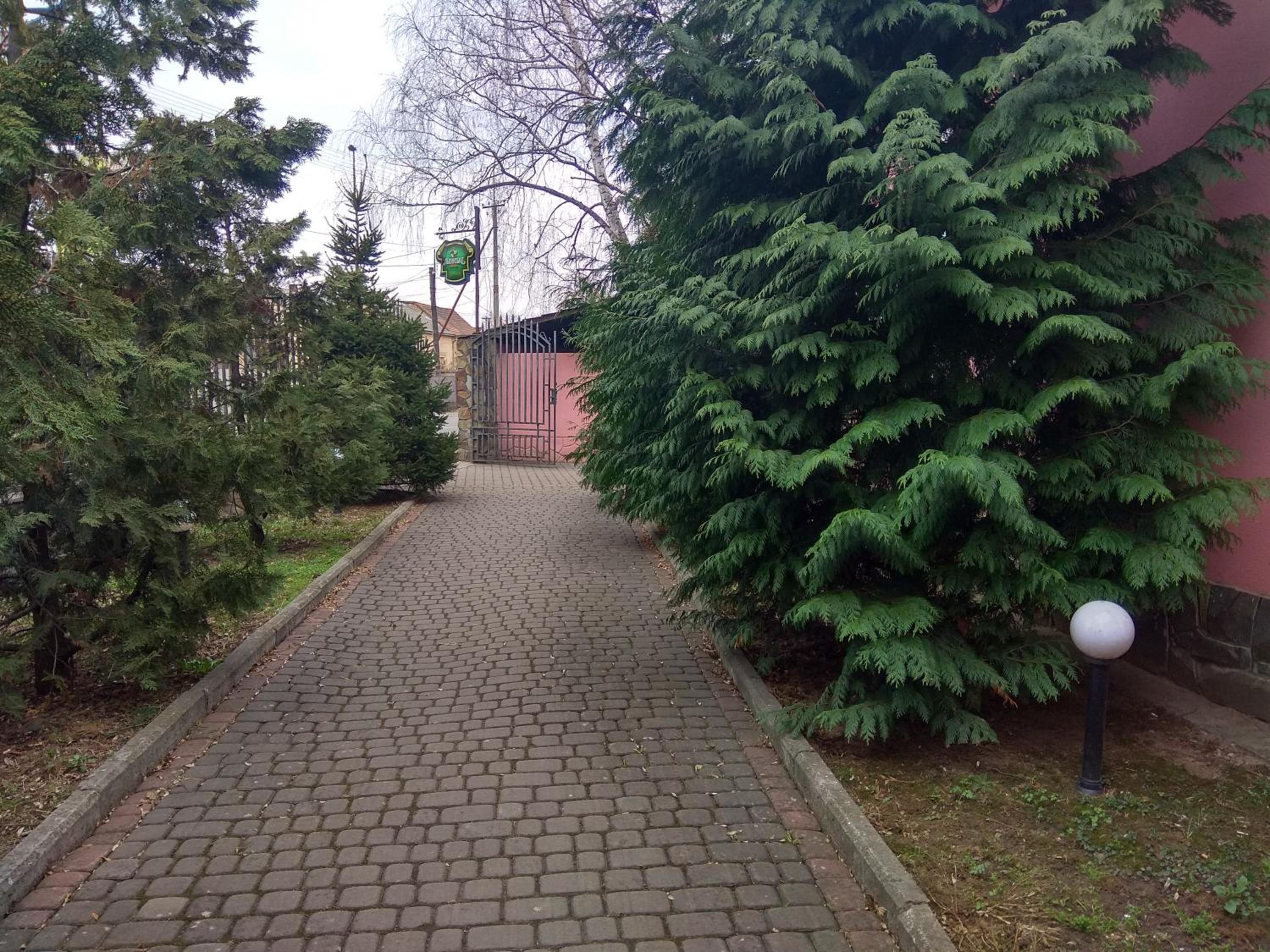 Photo 17