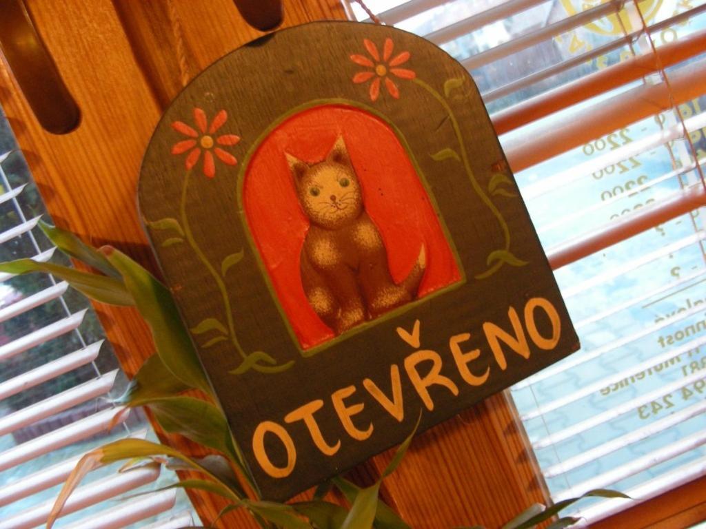 Penzion U Kočky