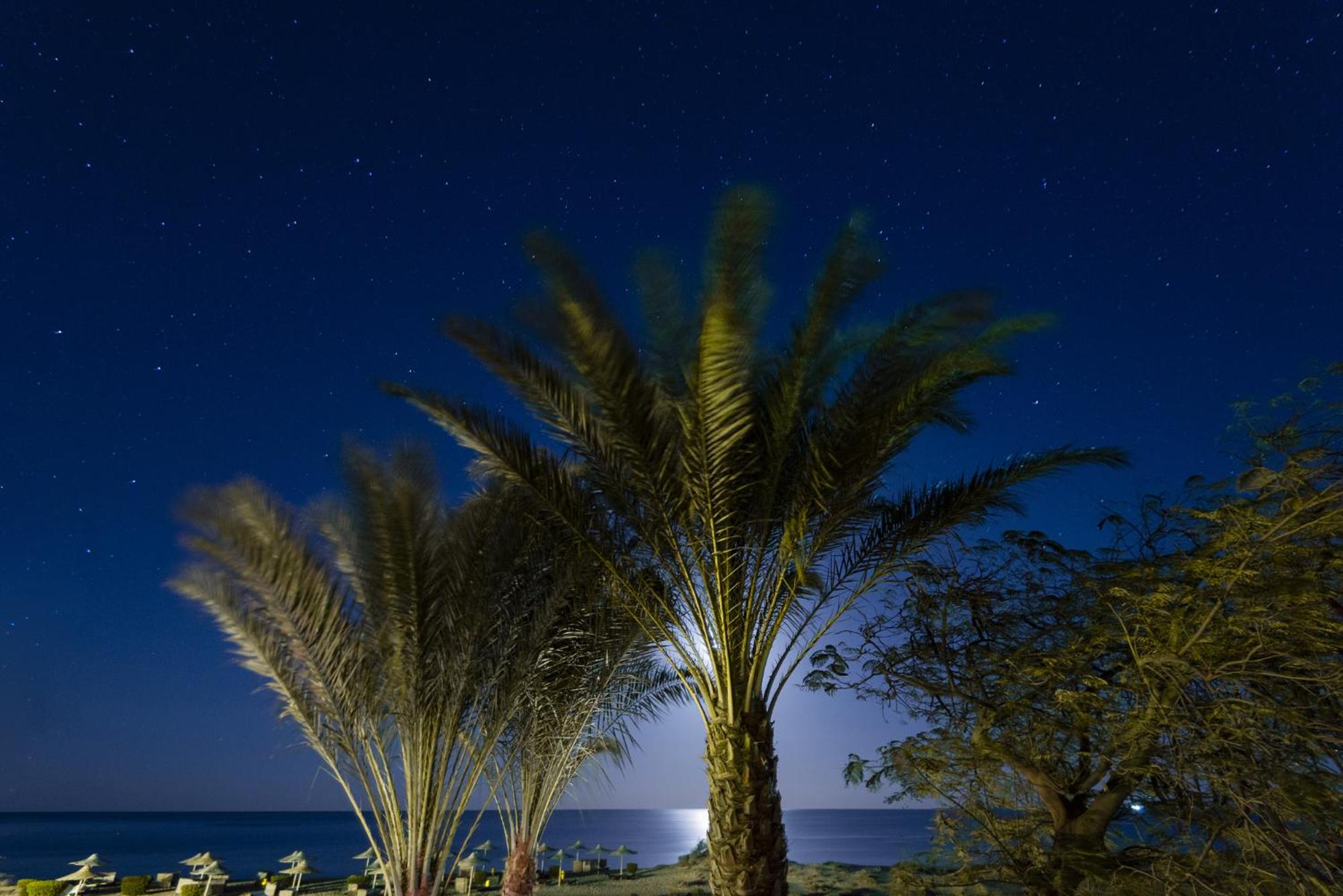 Shams Alam Beach Resort — photo 141