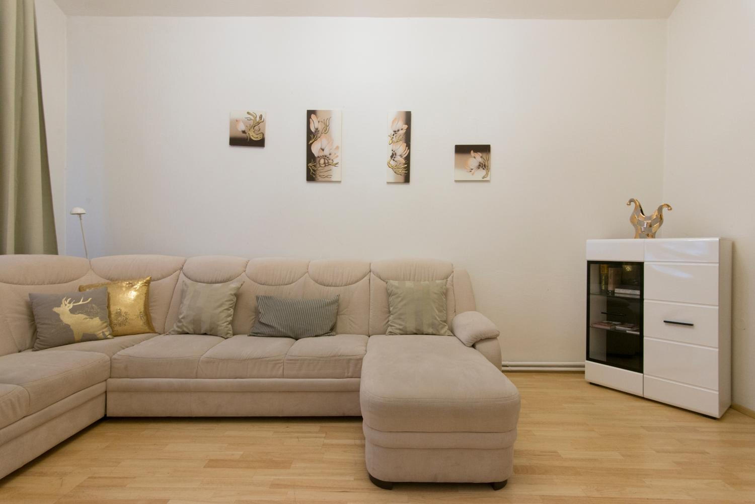 Spacious apartment near Wenceslas Square