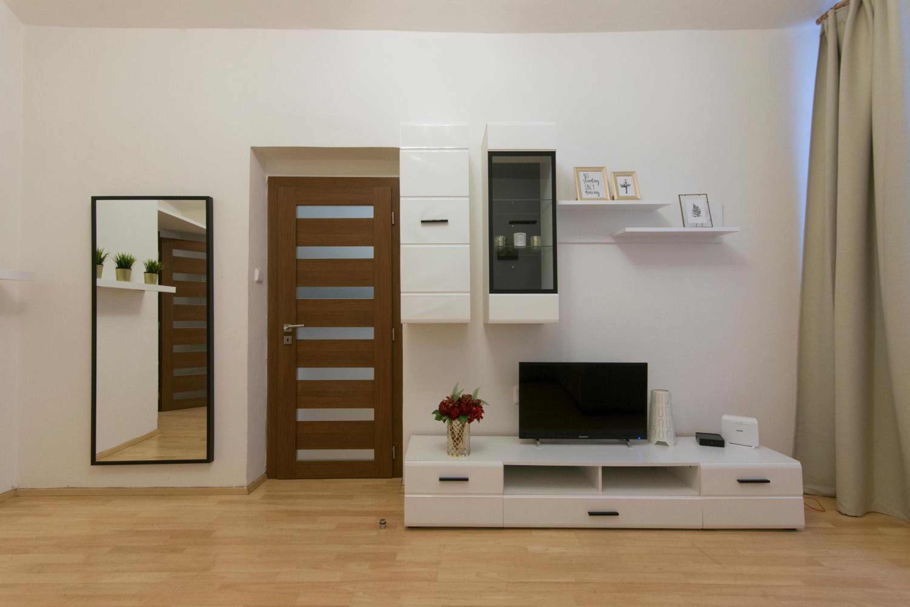 Spacious apartment near Wenceslas Square