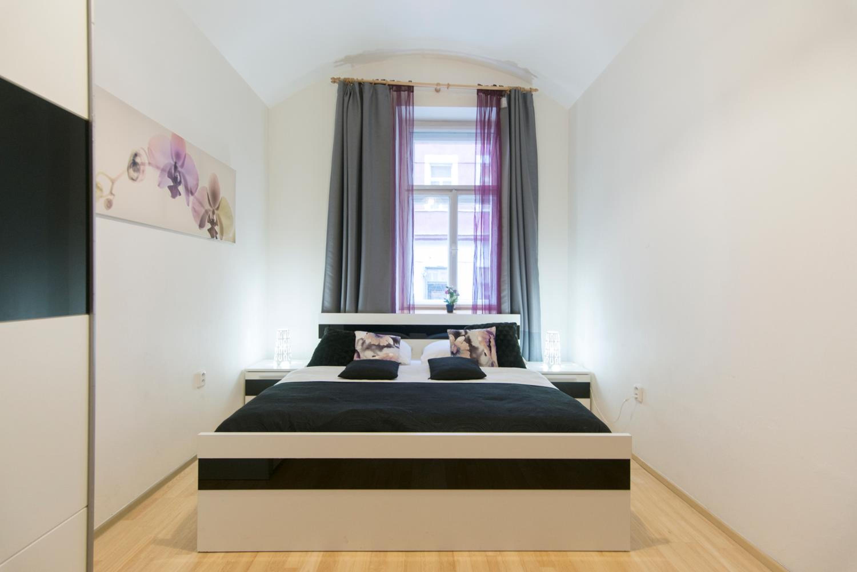 Spacious apartment near Wenceslas Square
