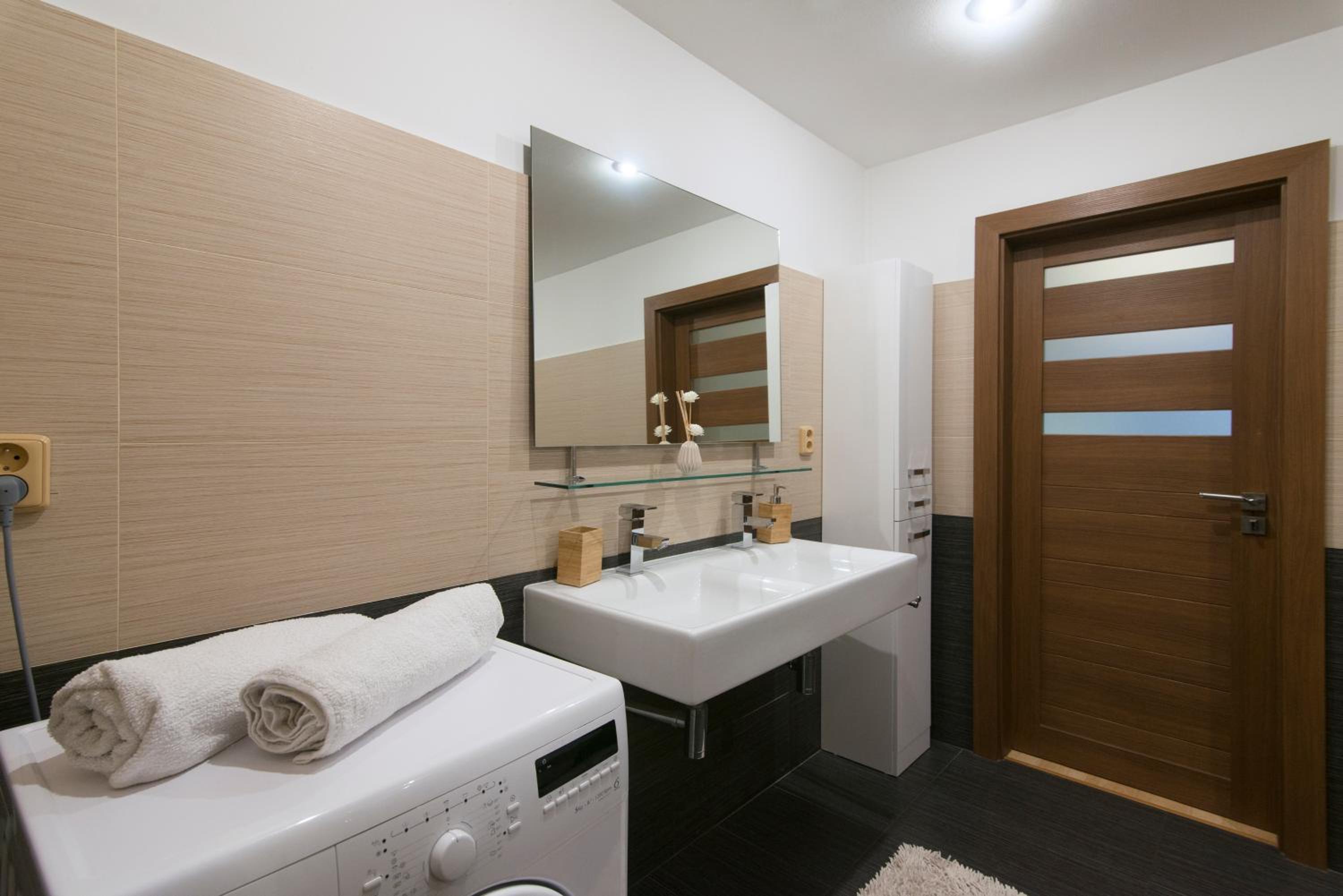 Spacious apartment near Wenceslas Square