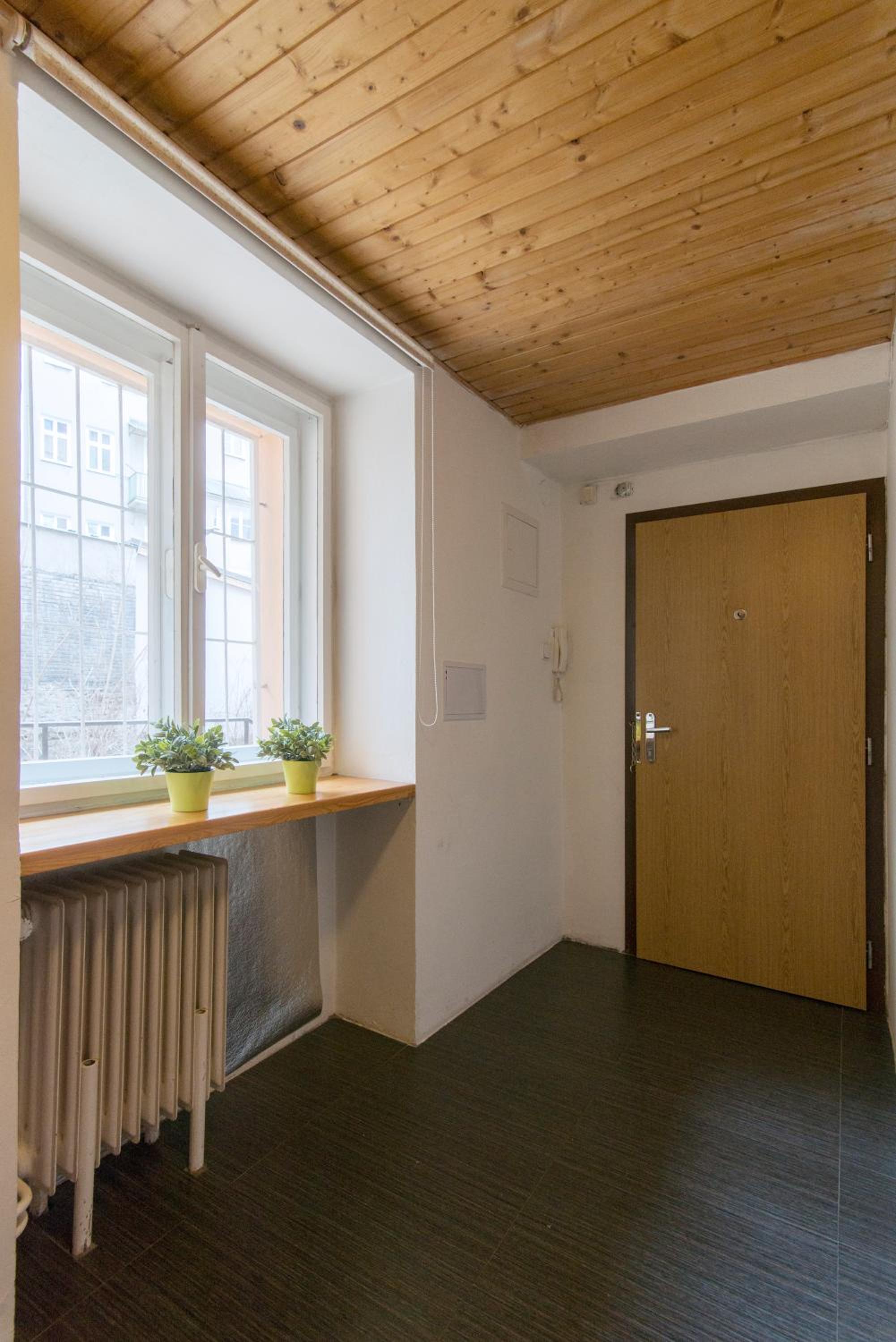 Spacious apartment near Wenceslas Square