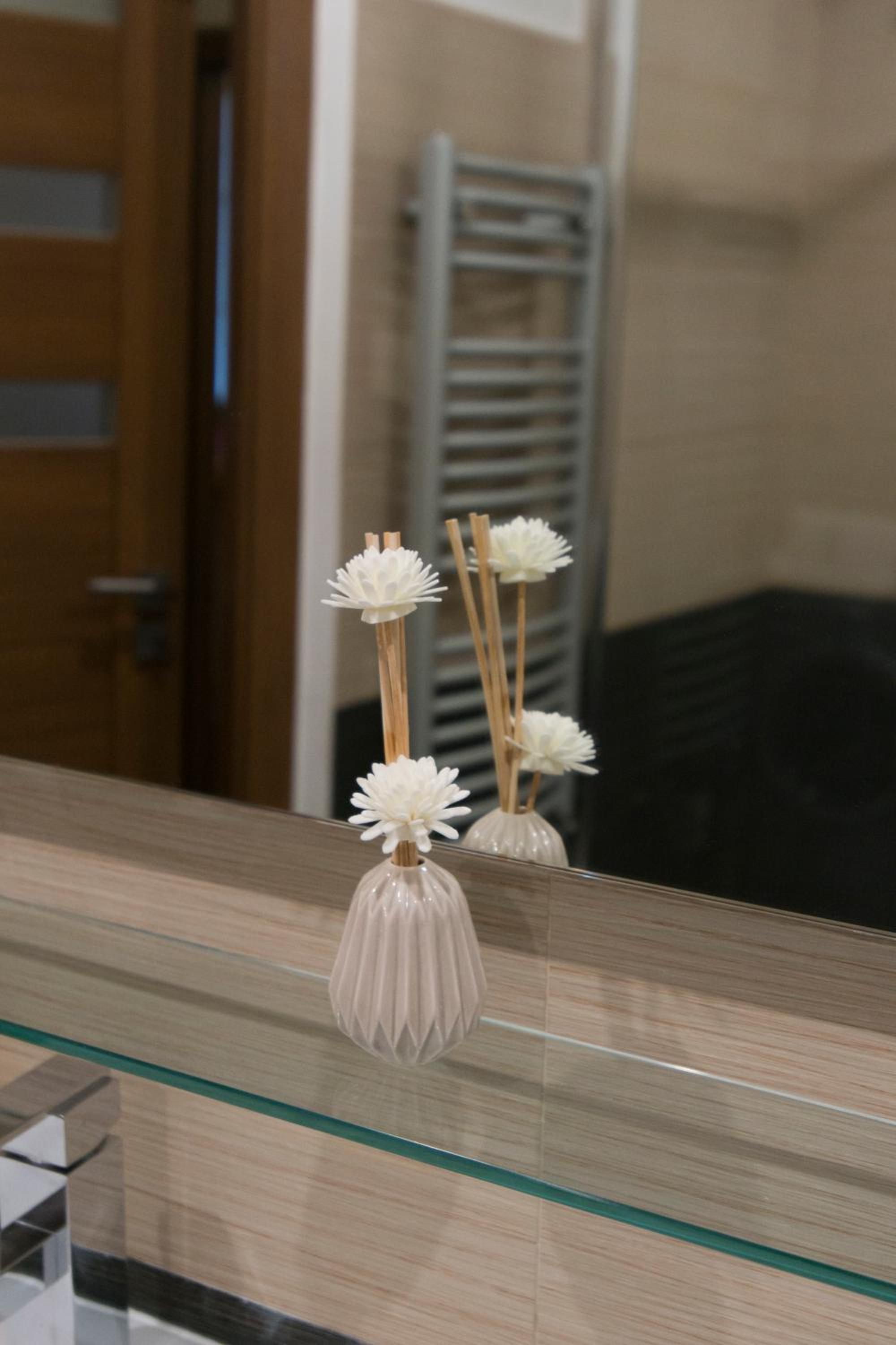 Spacious apartment near Wenceslas Square