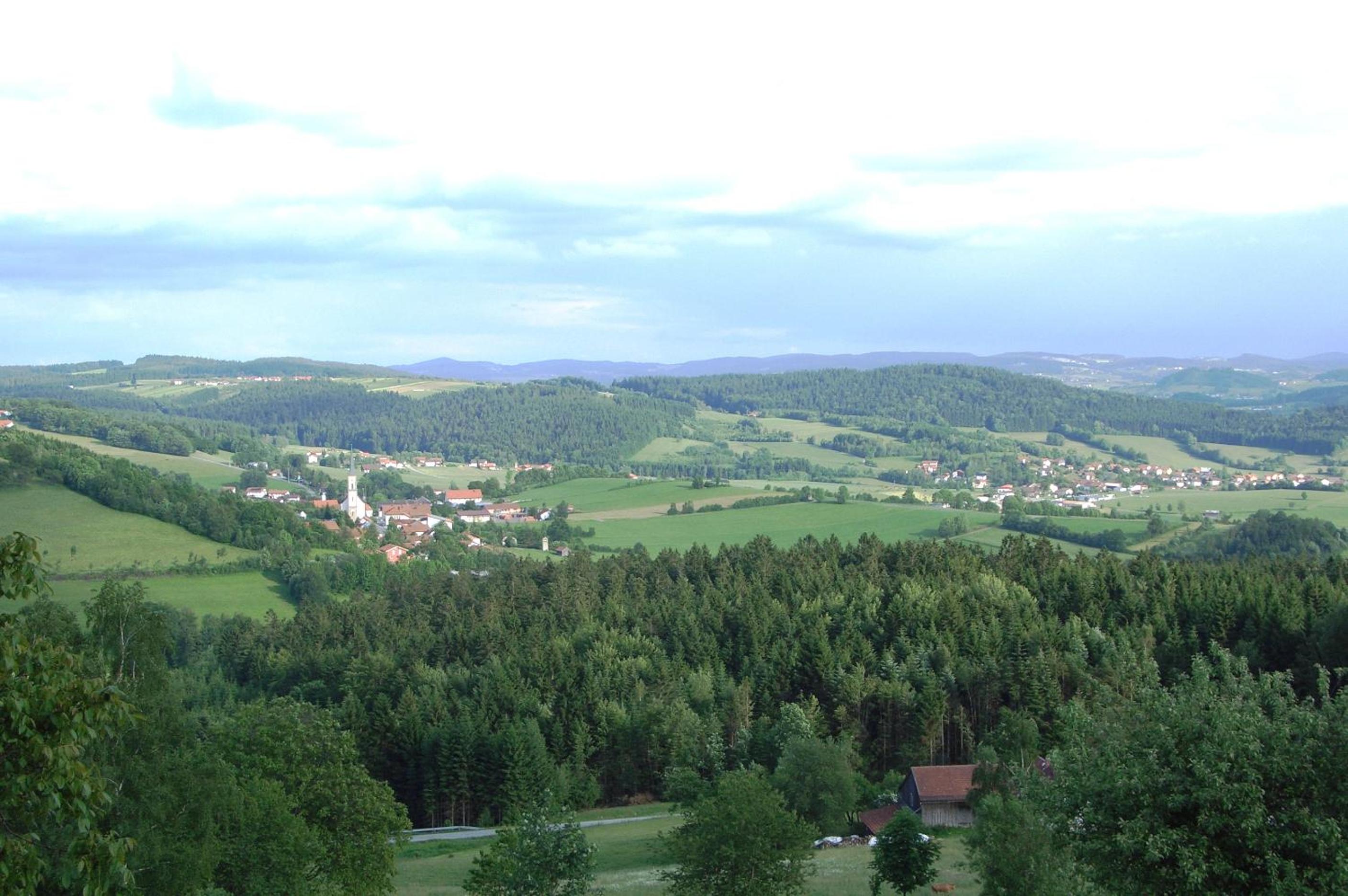 Photo 14