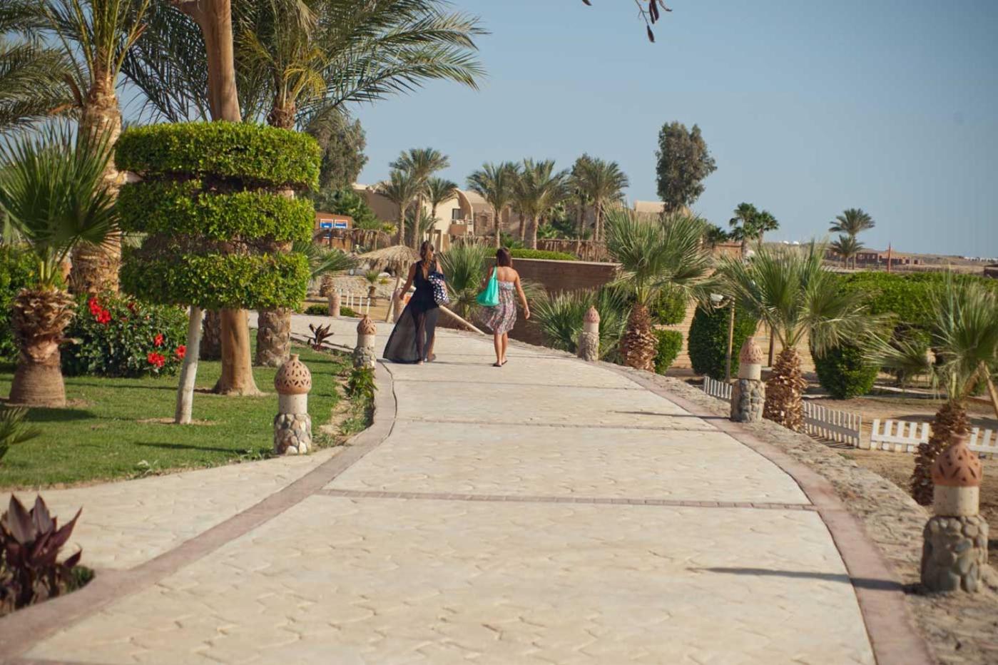 Shams Alam Beach Resort — photo 143