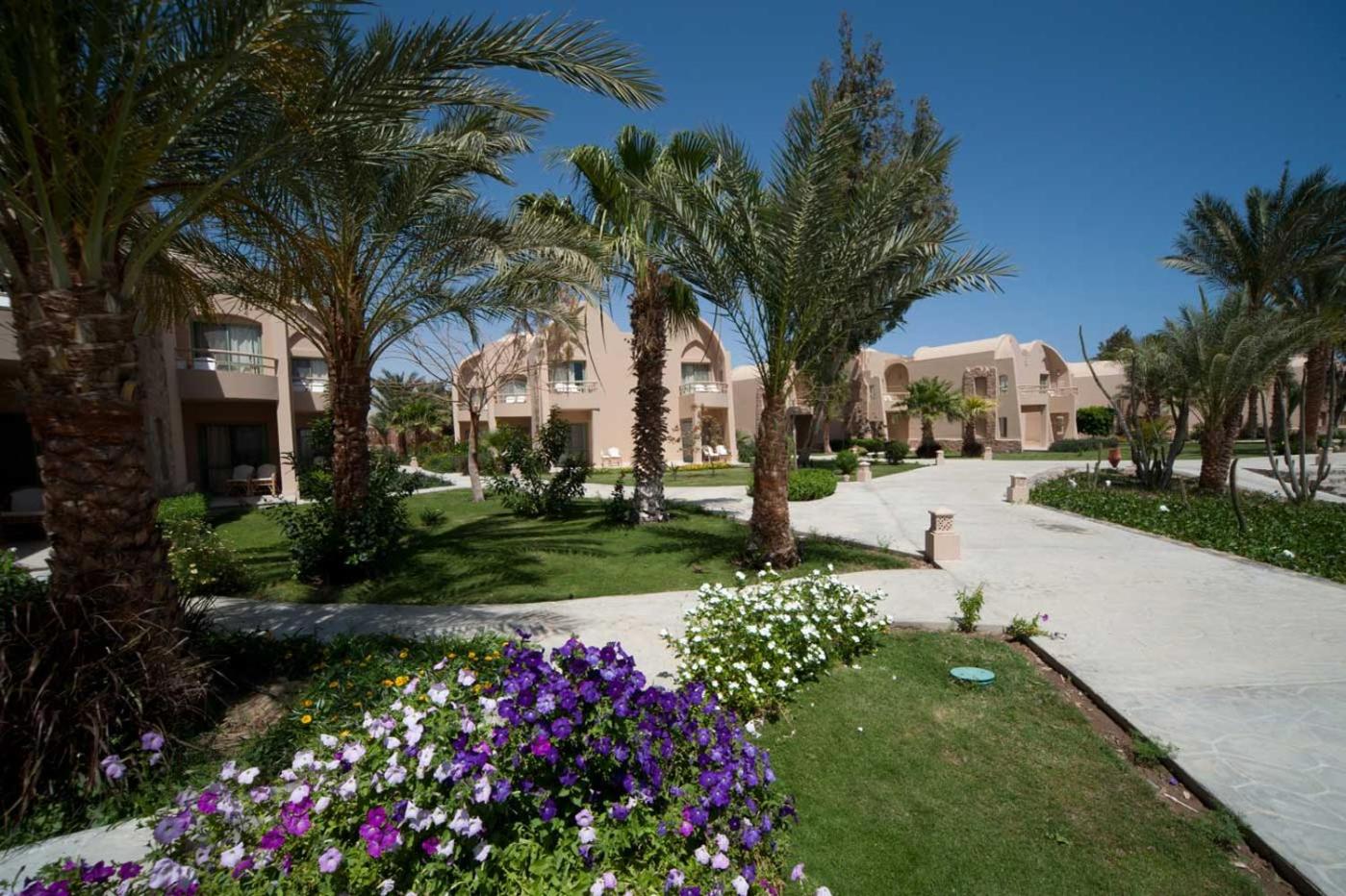 Shams Alam Beach Resort — photo 45