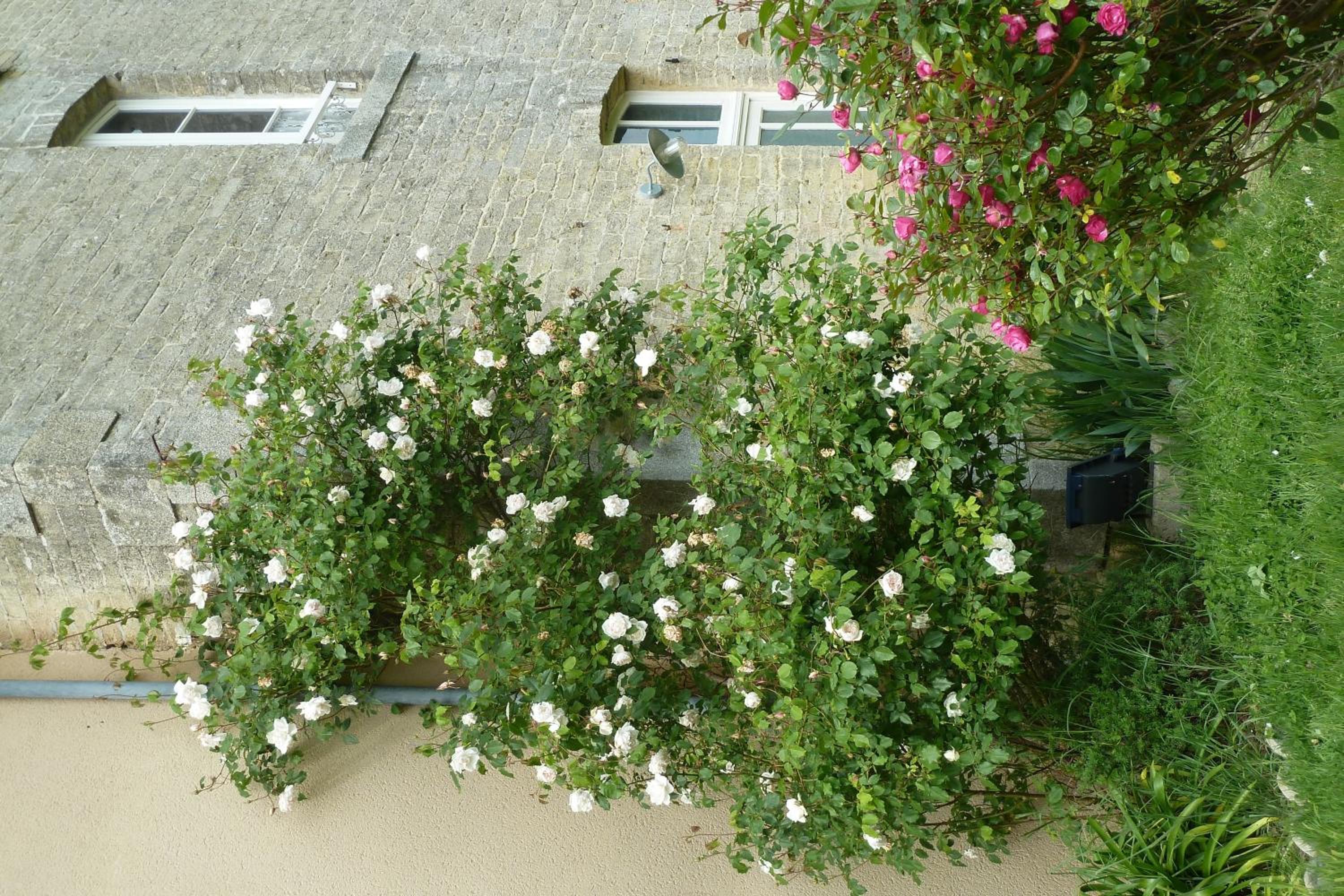 Photo 33