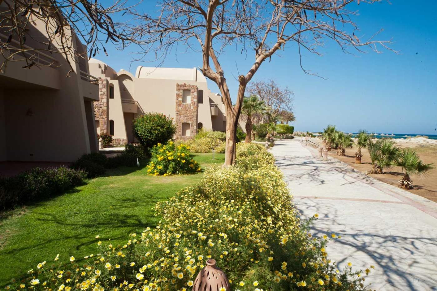 Shams Alam Beach Resort — photo 78