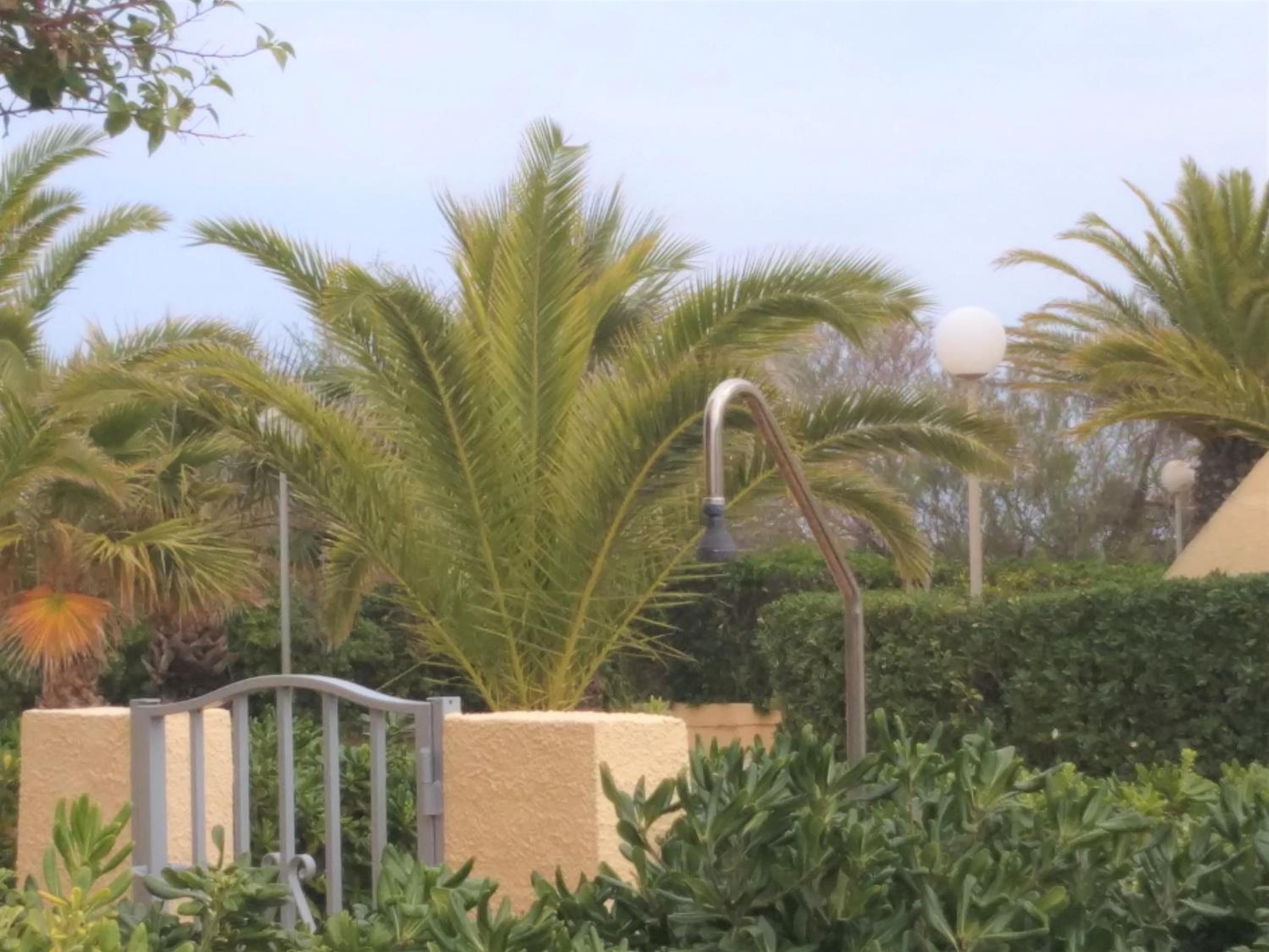 Residencial Olival-Acceso privado playa por jardín view 3