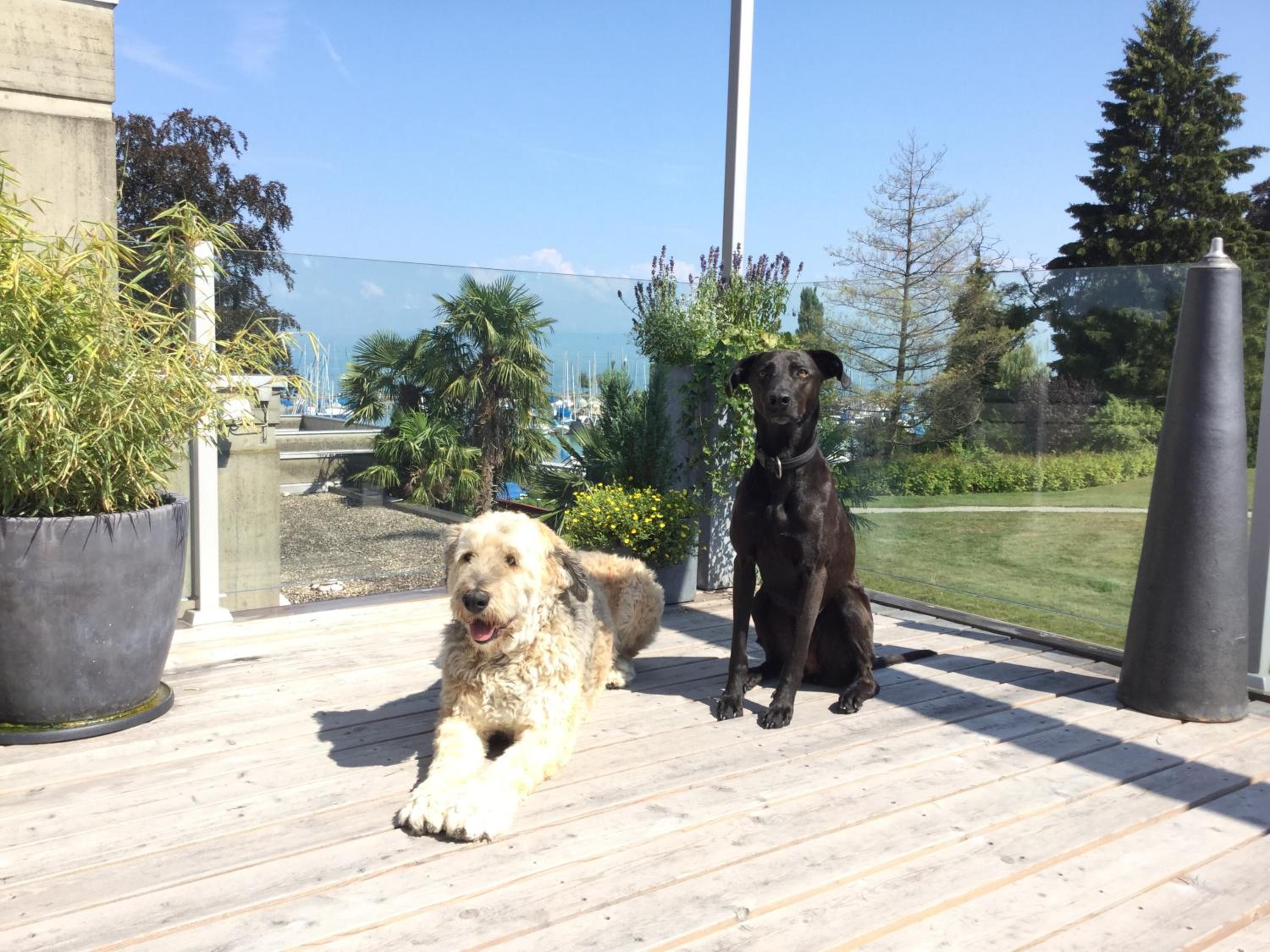 Lakelodge Romanshorn