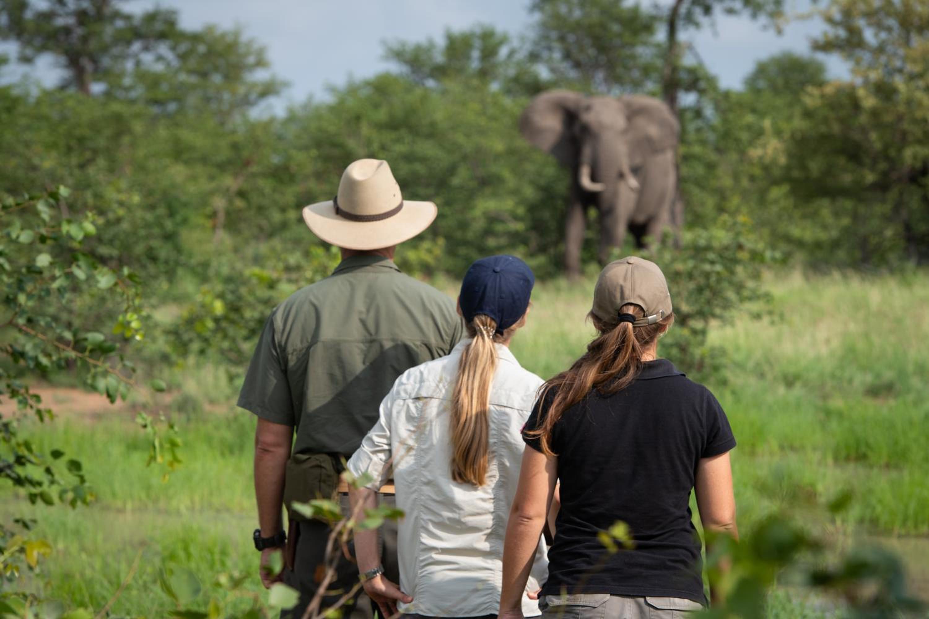 Senalala Safari Lodge