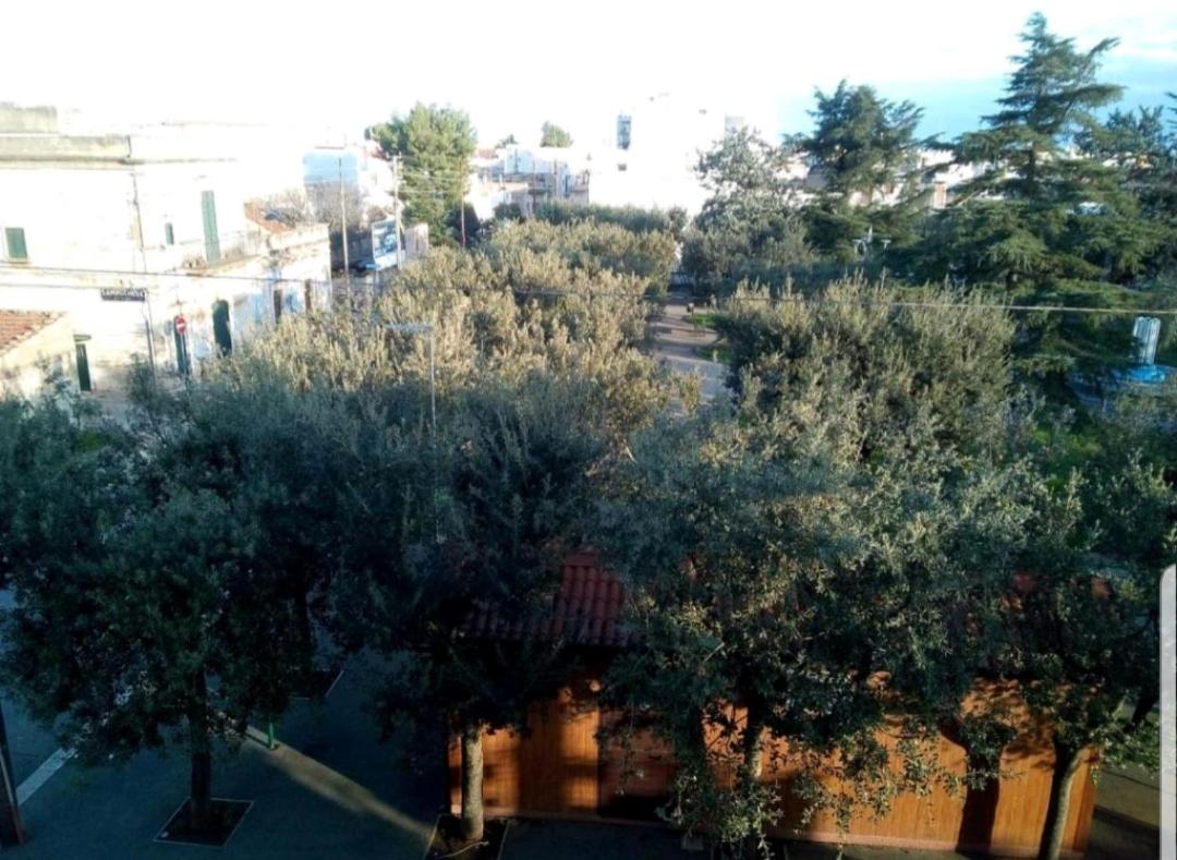 Photo 48