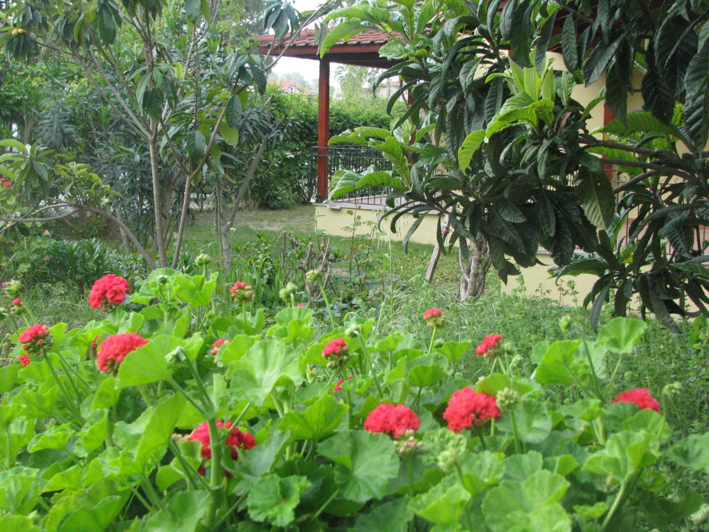 Photo 15