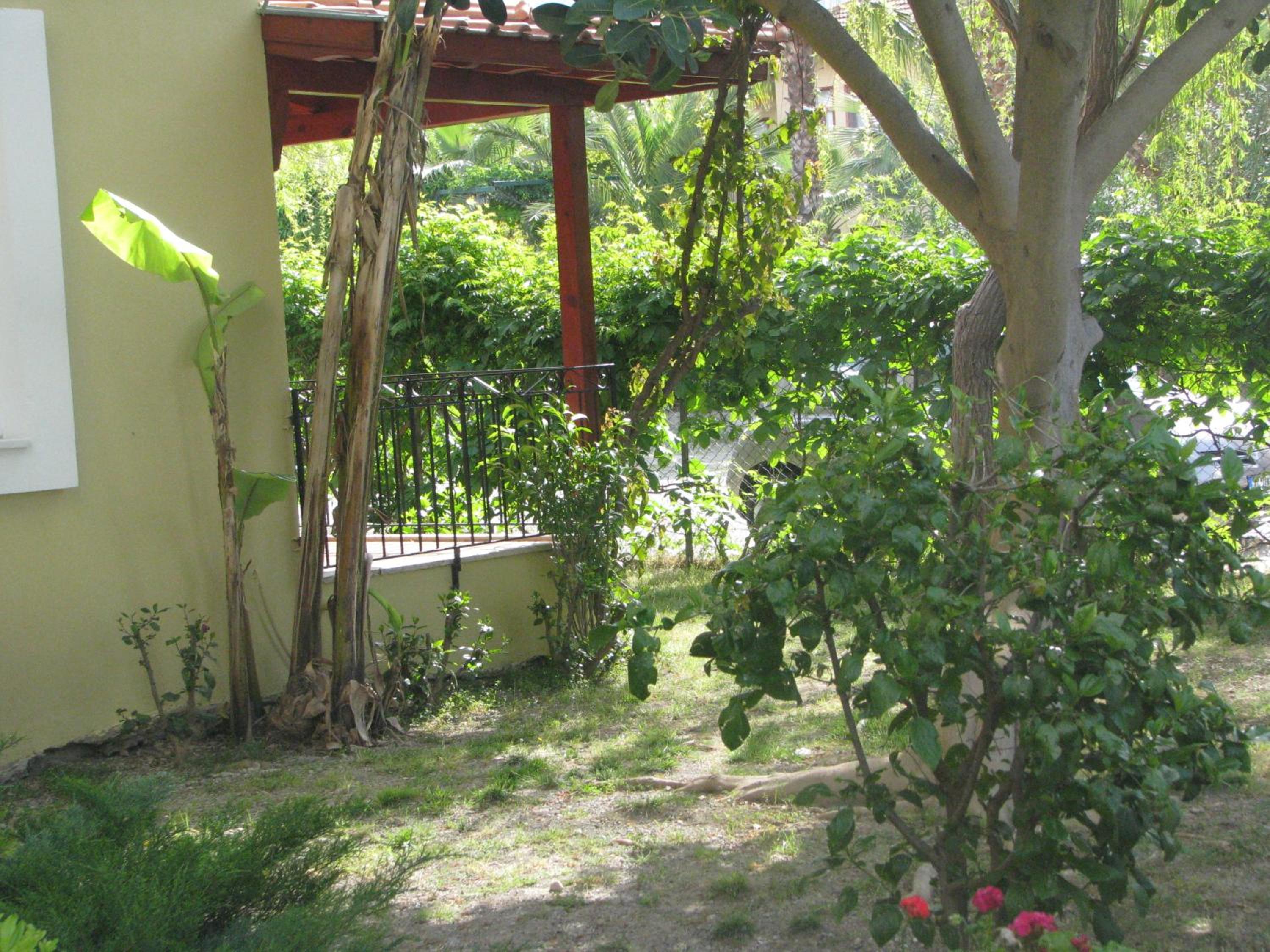 Photo 19