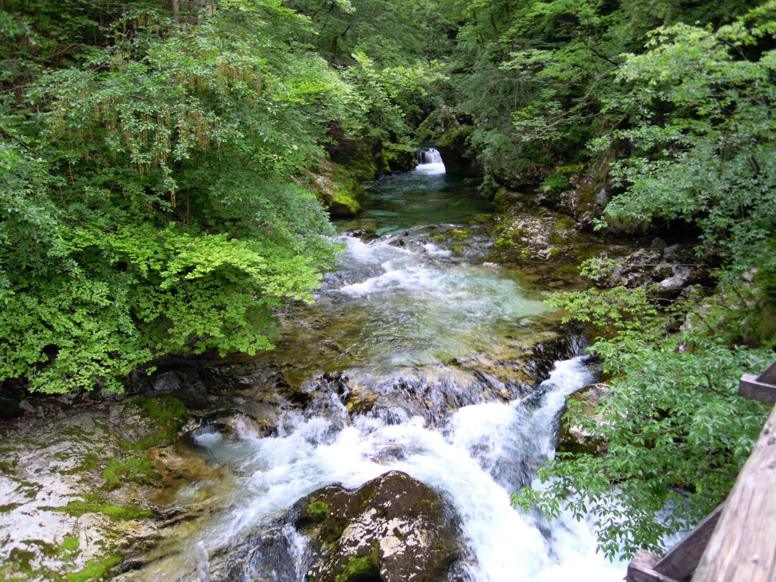Photo 47